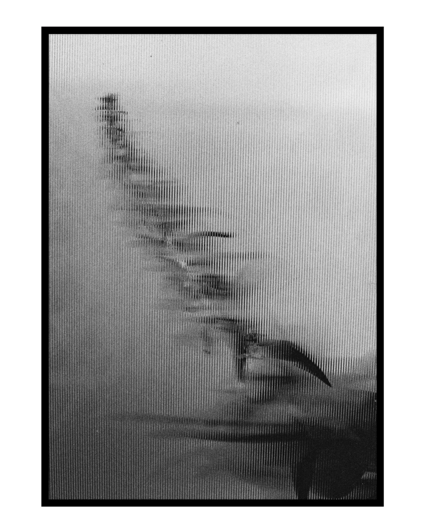 Junegrass is still booking 2026 ✨🌾
| Wedding Florals | Floral Styling | Photography Sessions |

For those with a flair for the unconventional and a love of the unexpected ❣️

Inquire through our website junegrassflorals.com / link in bio