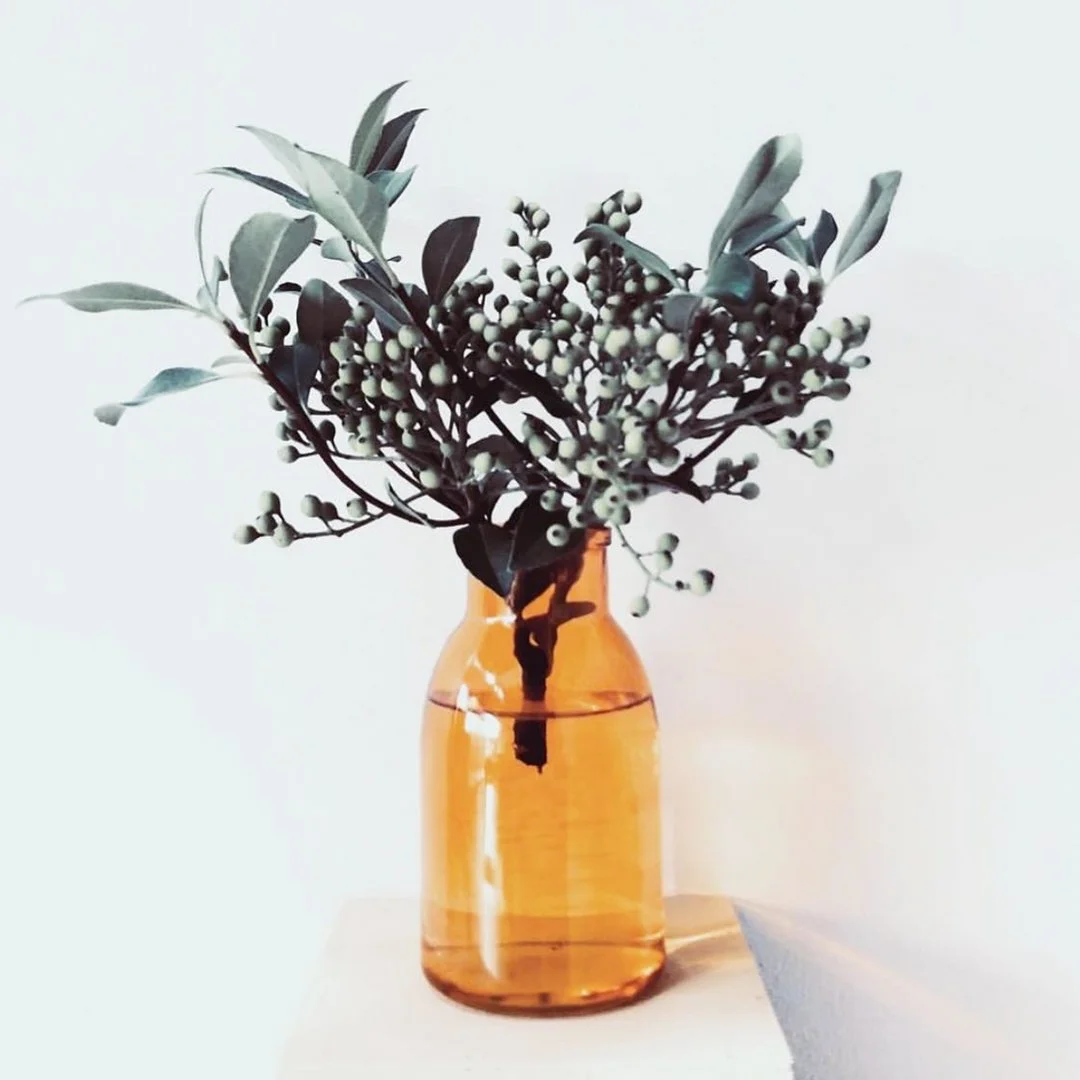 Still_Life_Photography_Jen_miller_2.jpg