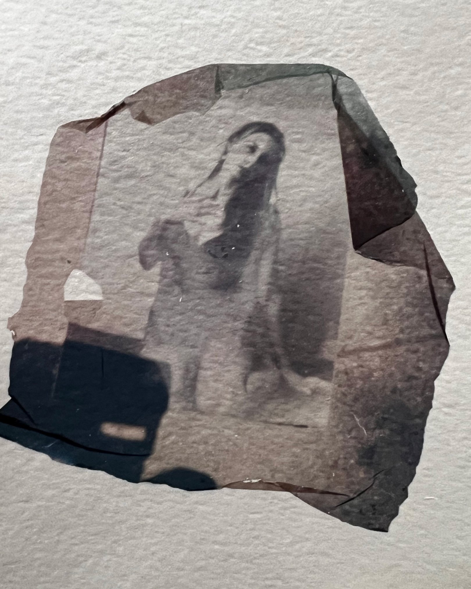 Jen Miller Art - Polaroid Transfer