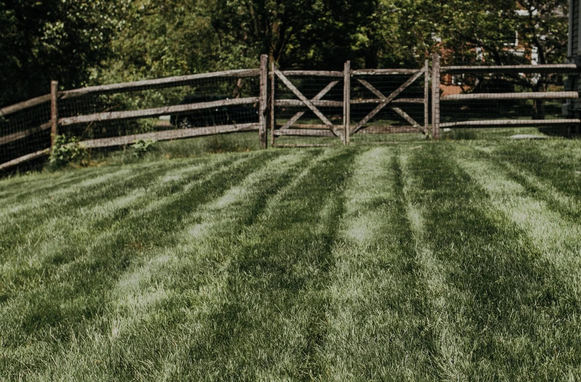 What Your Lawn Is Trying to Tell You About Lawn Fertilization in Furlong, PA