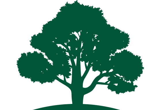 Tree icon