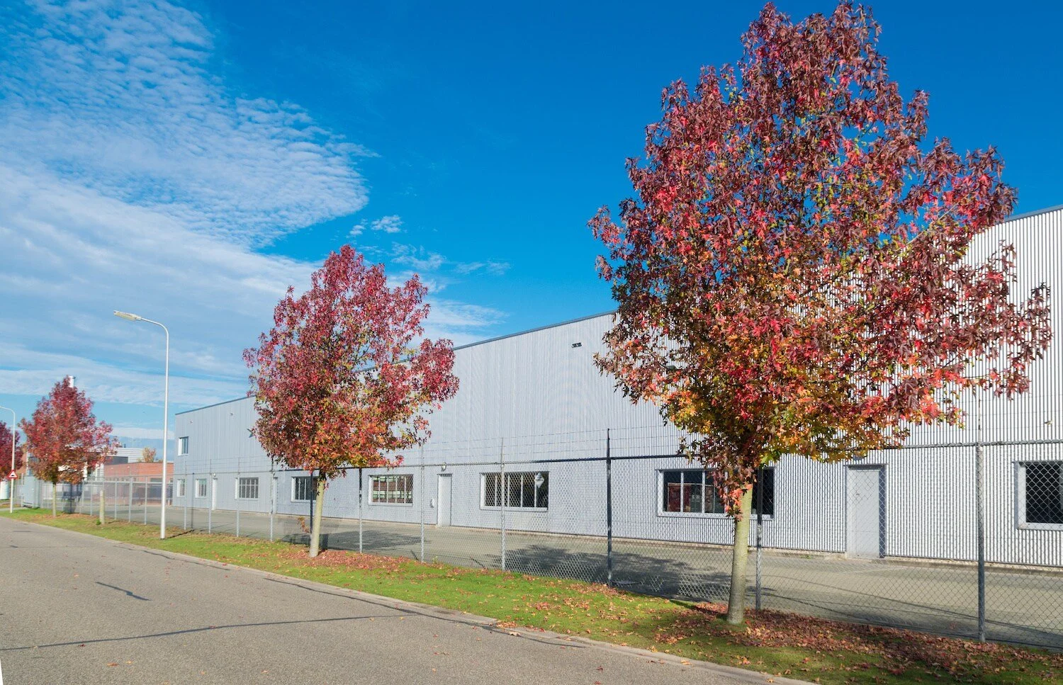 Industrial warehouse building with red fall trees along the street