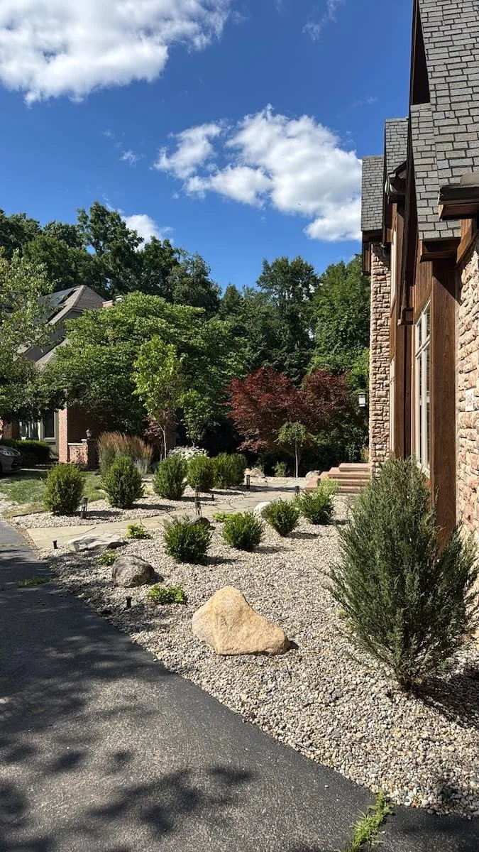 River rock planting beds with landscape boulders and evergreens along a driveway in Livonia, MI
