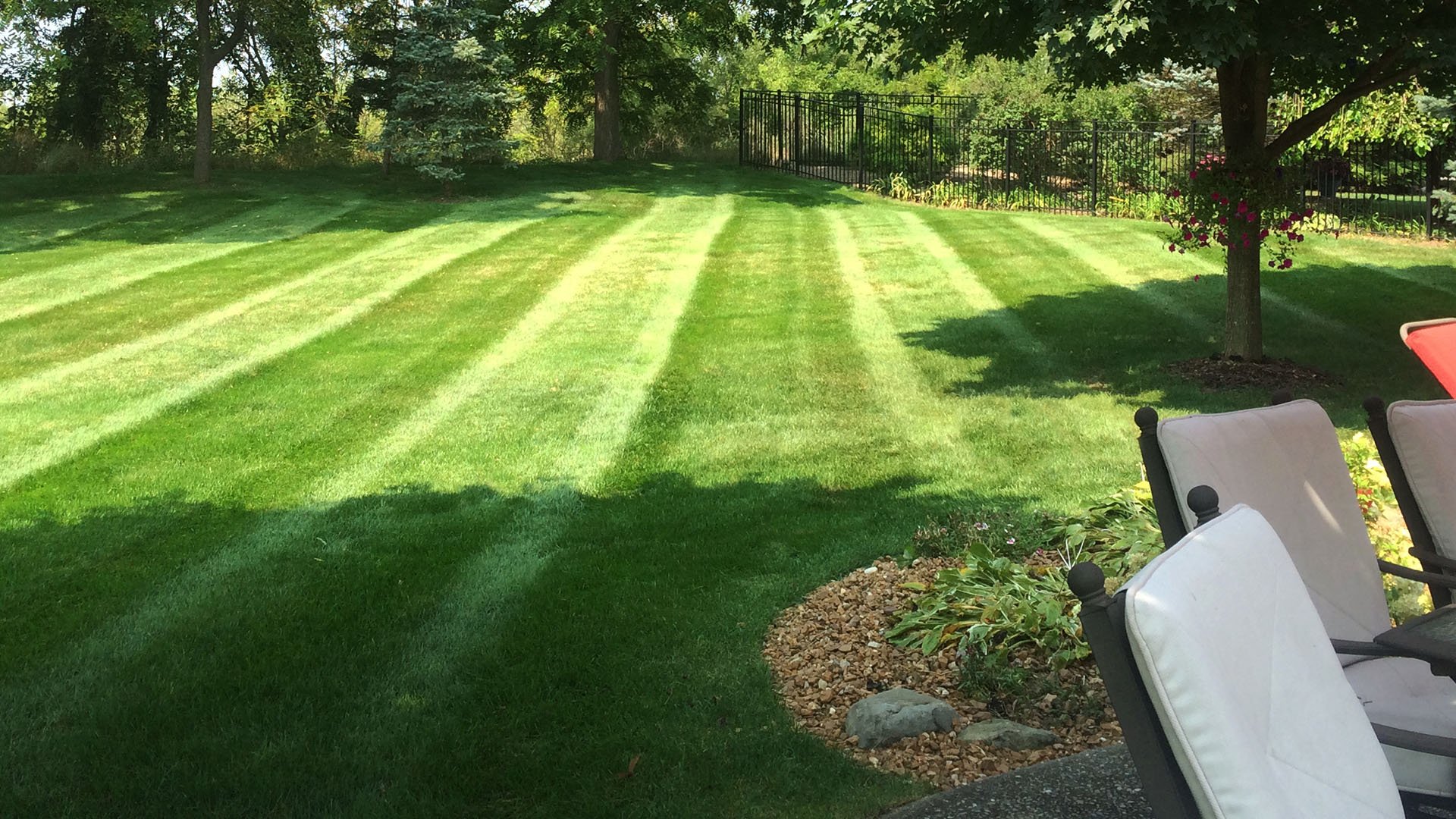 lawn fertilization (near me)