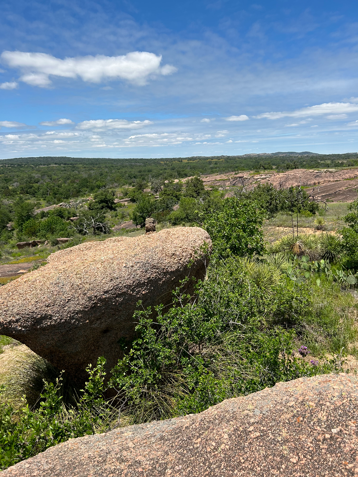 Large rocks among a tree-covered, green, Texas landscape. Location: Enchanted Rock