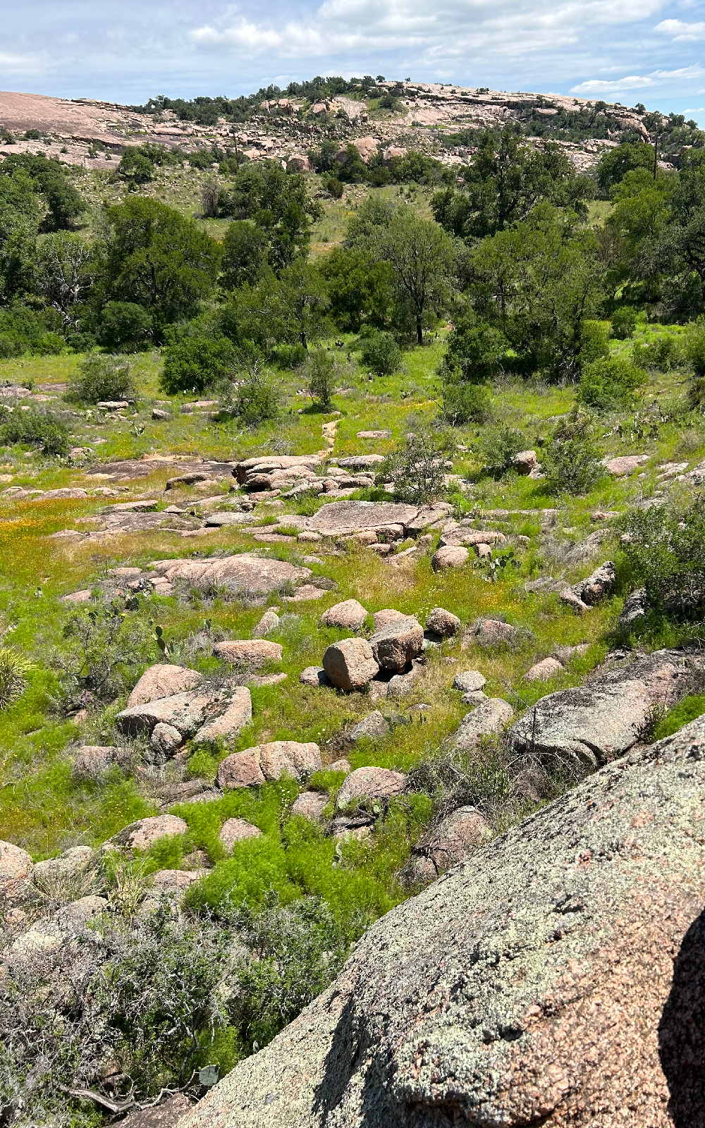 Rocks scattered in a green Texas landscape. Location: Enchanted Rock
