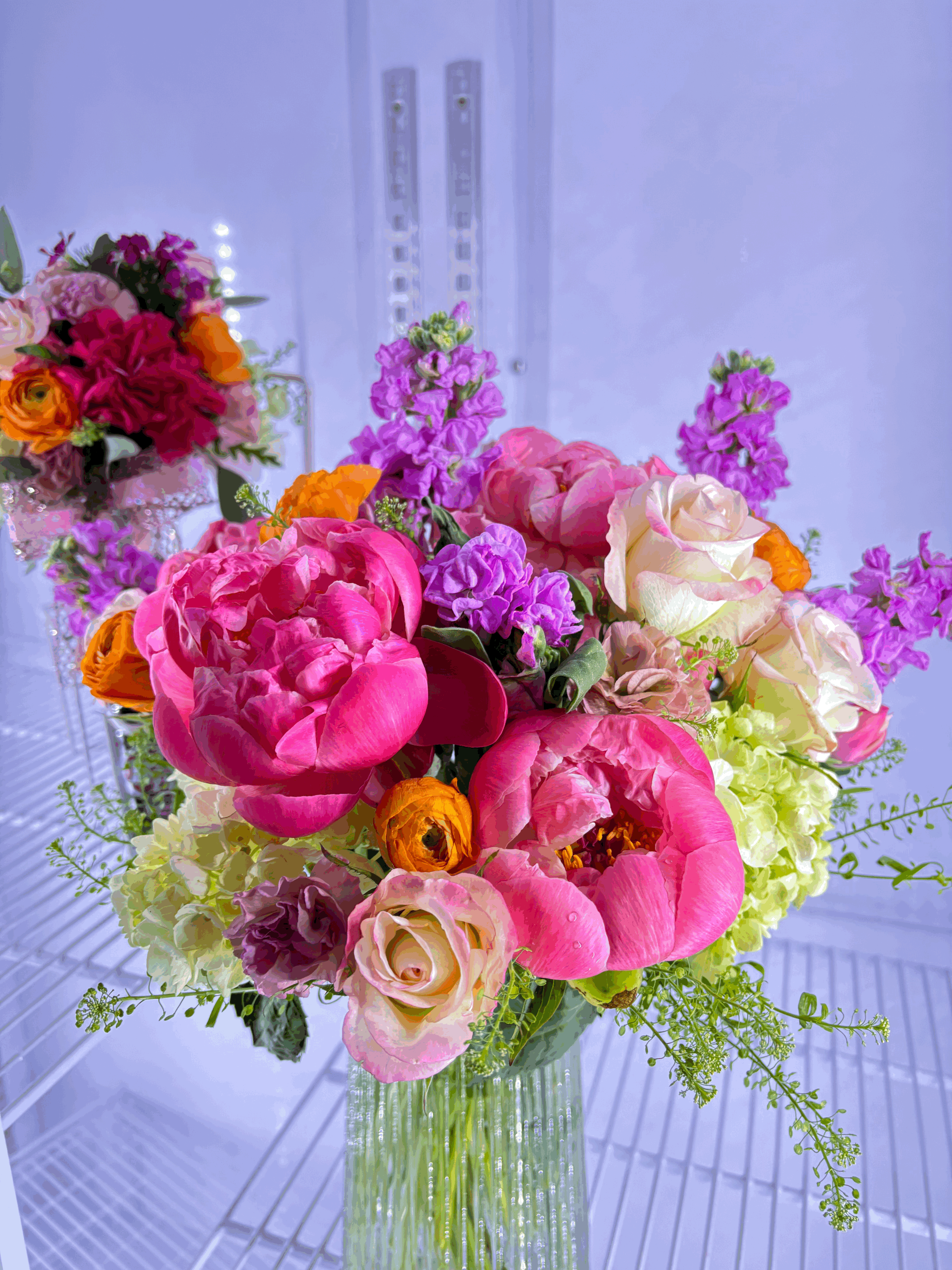 Bright Designers Choice