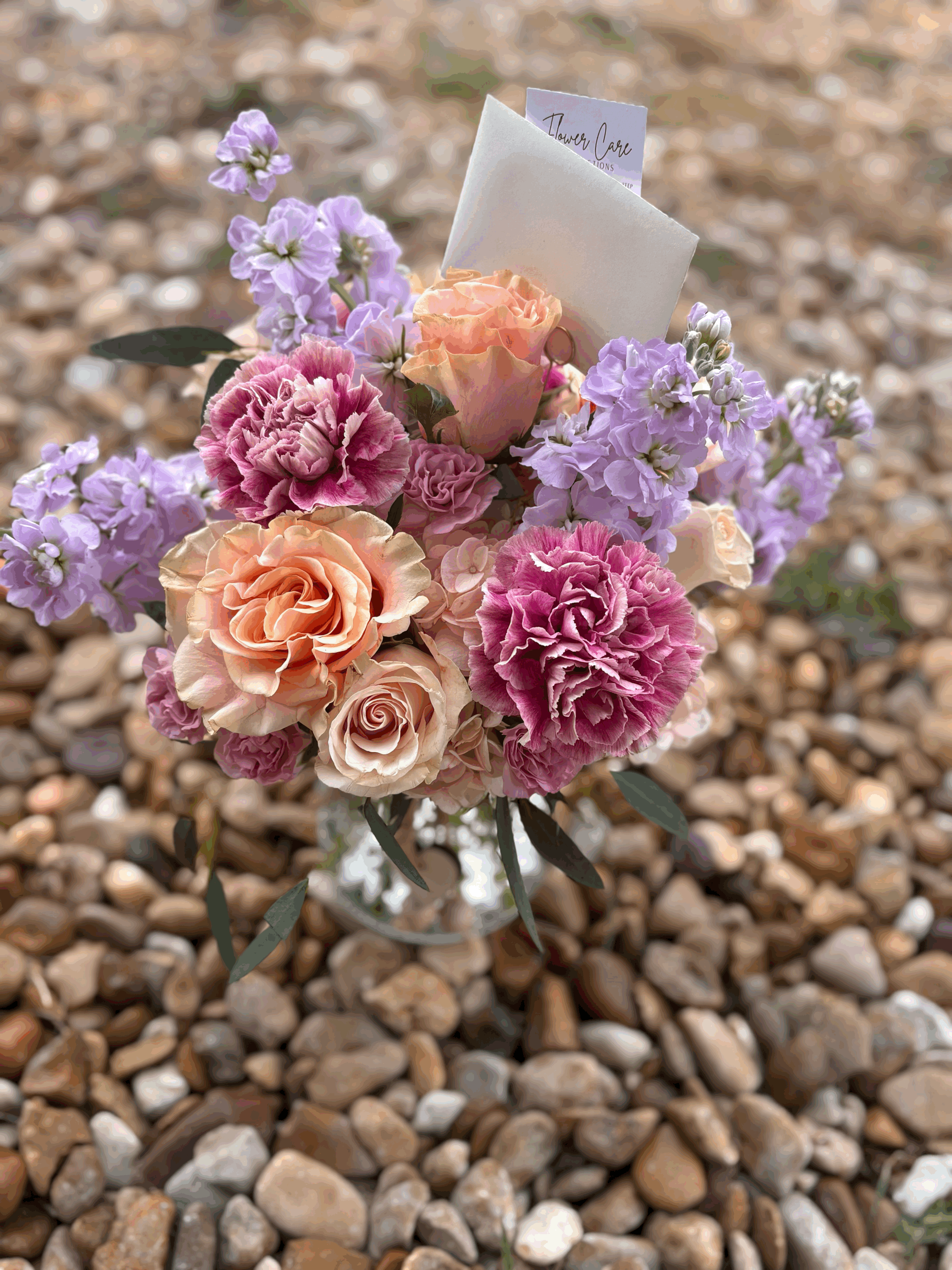 Pastel Designers Choice