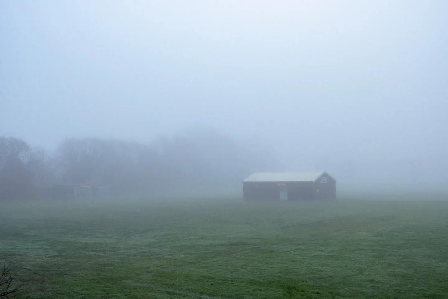 A misty Christmas walk 😶&zwj;🌫️