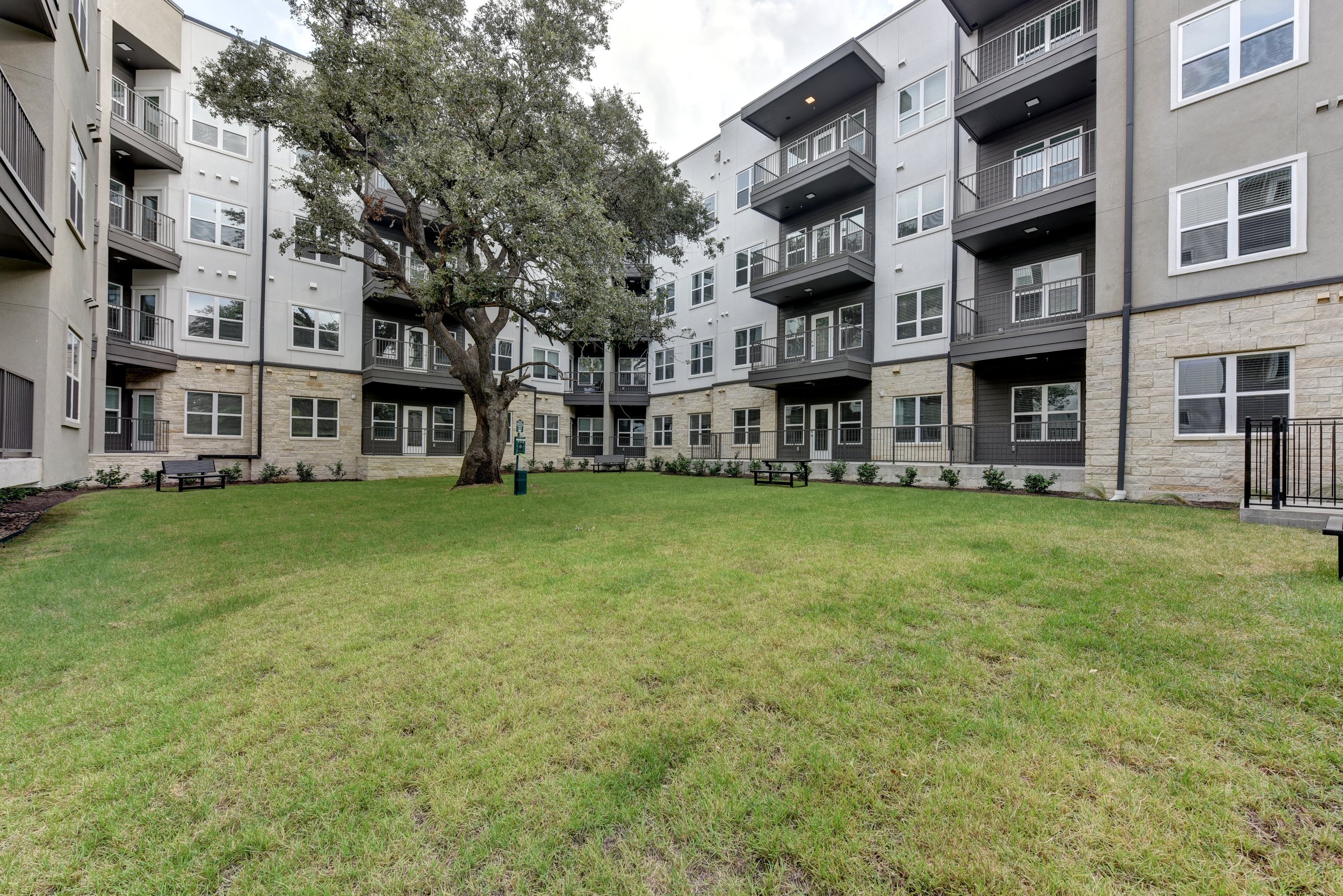 Dog Park and Mature Trees at Matador Apartments