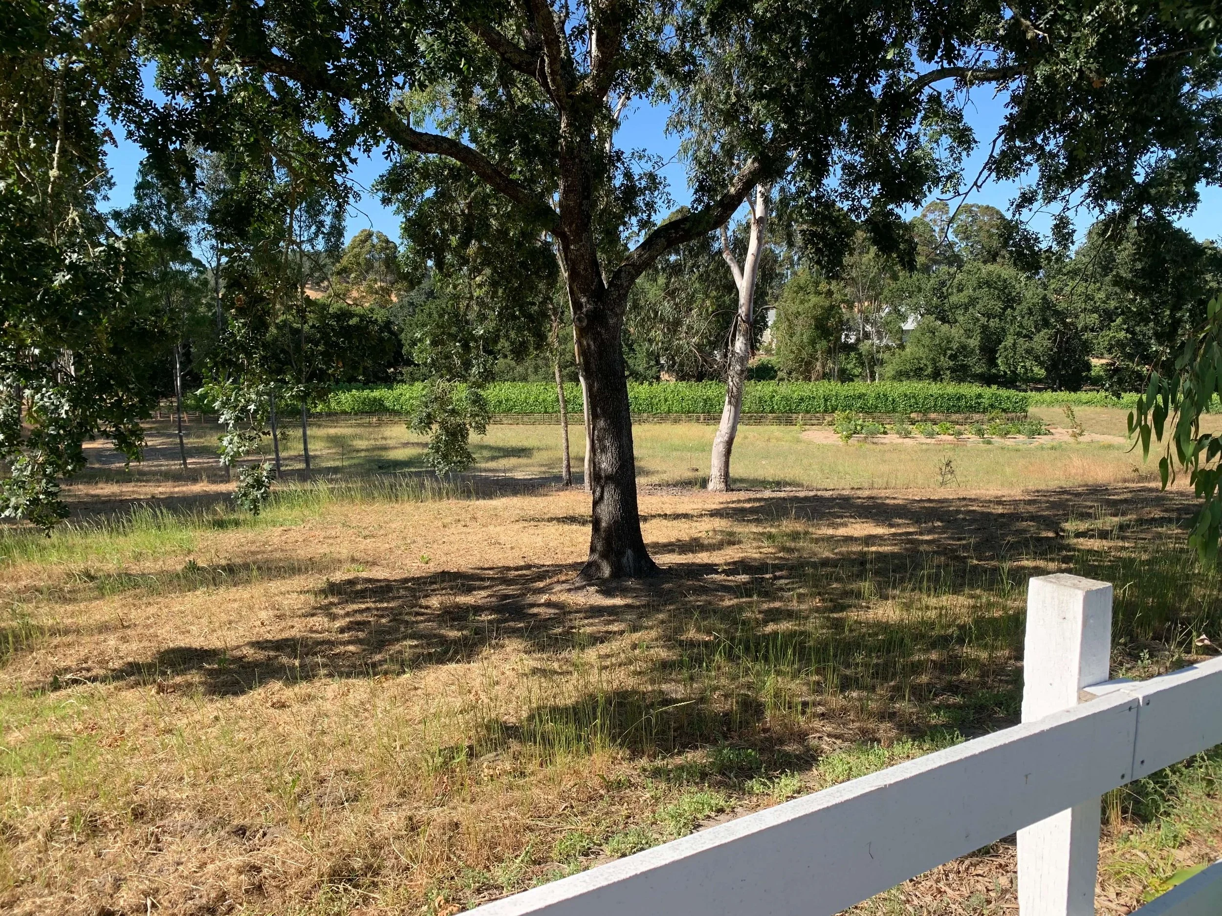                  BALANCE & STEWARDSHIP