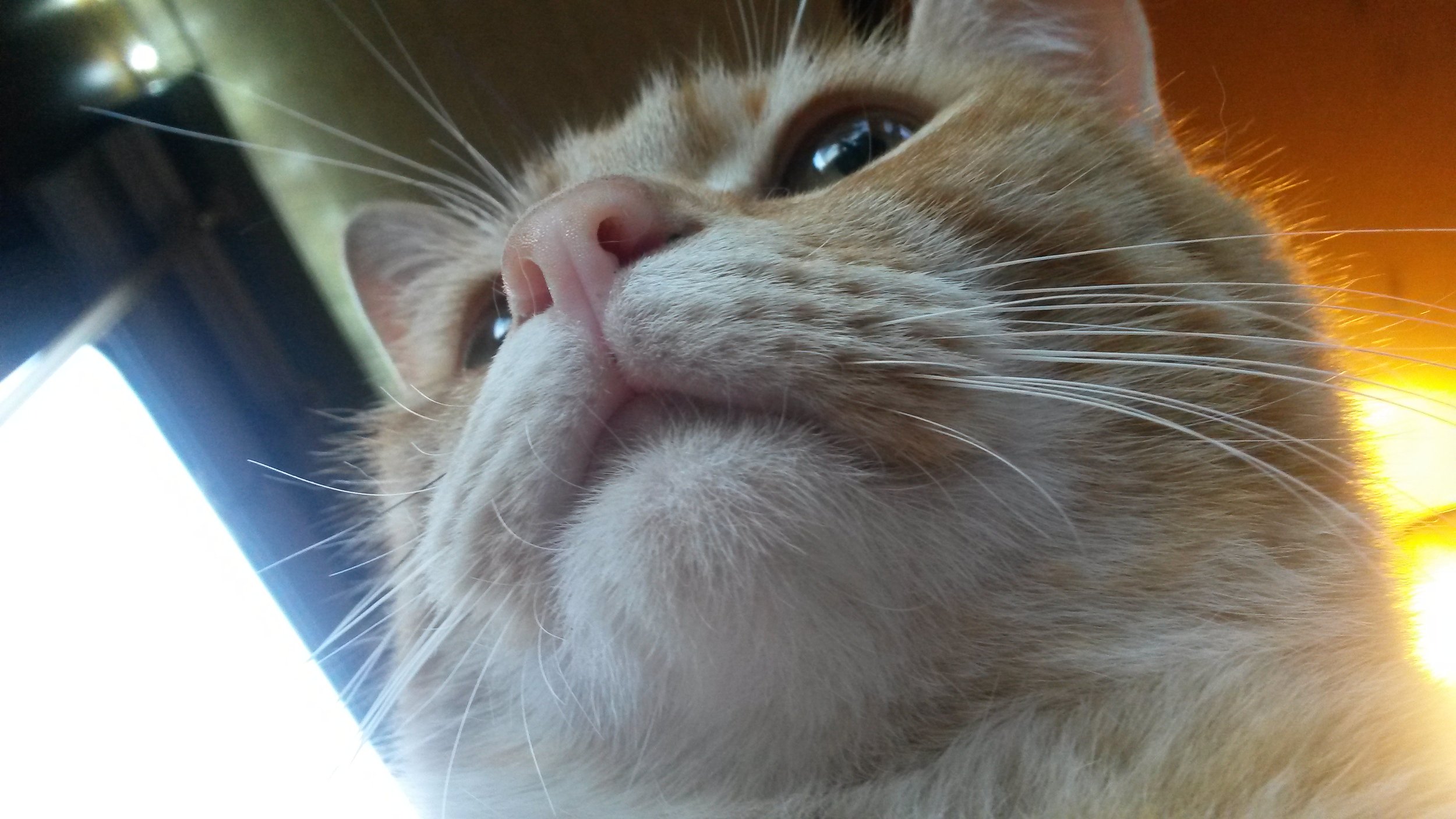 Tang loves to be the center of attention.