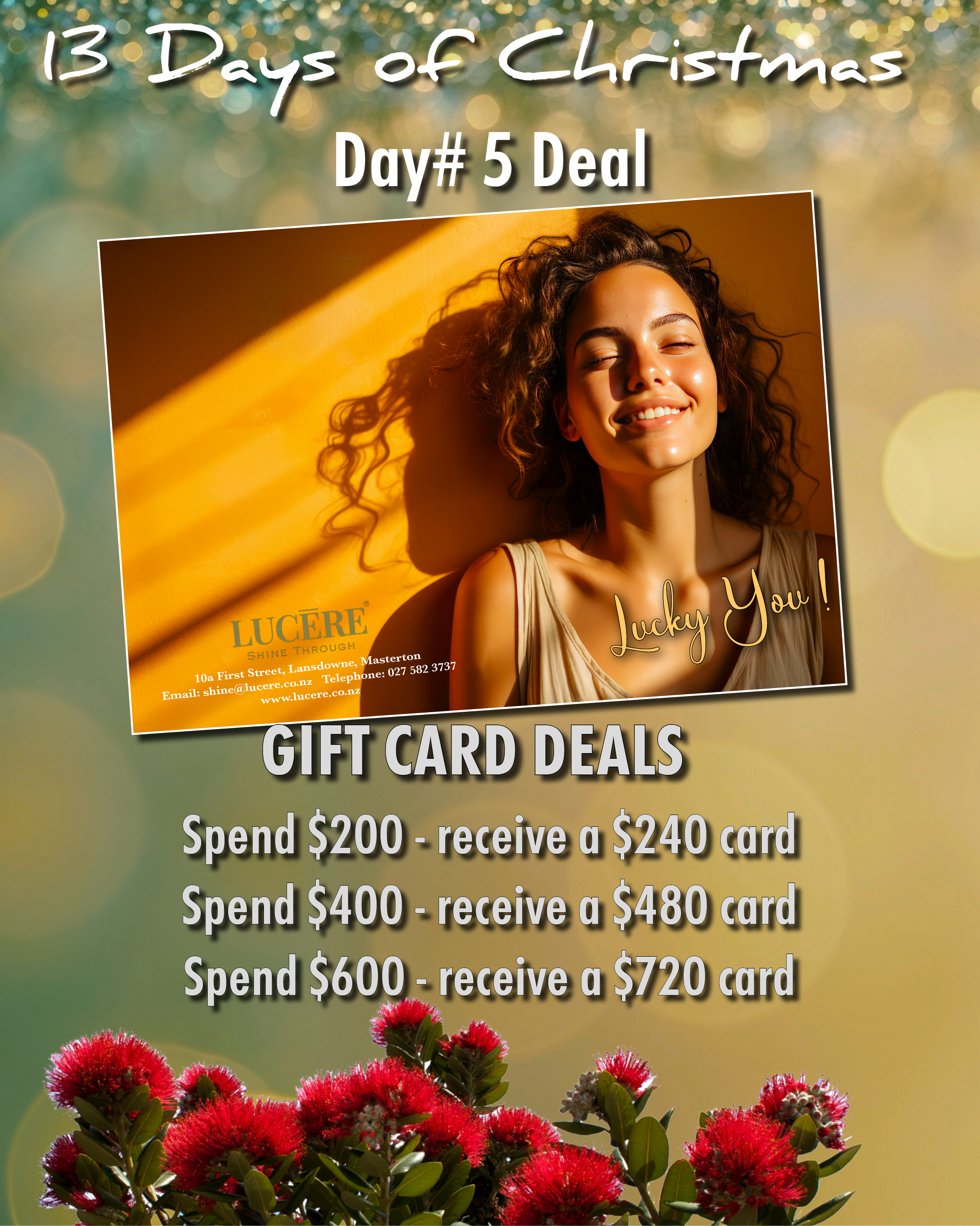 DAY #5 - GIFT CARD PROMO 3 (save $120)
