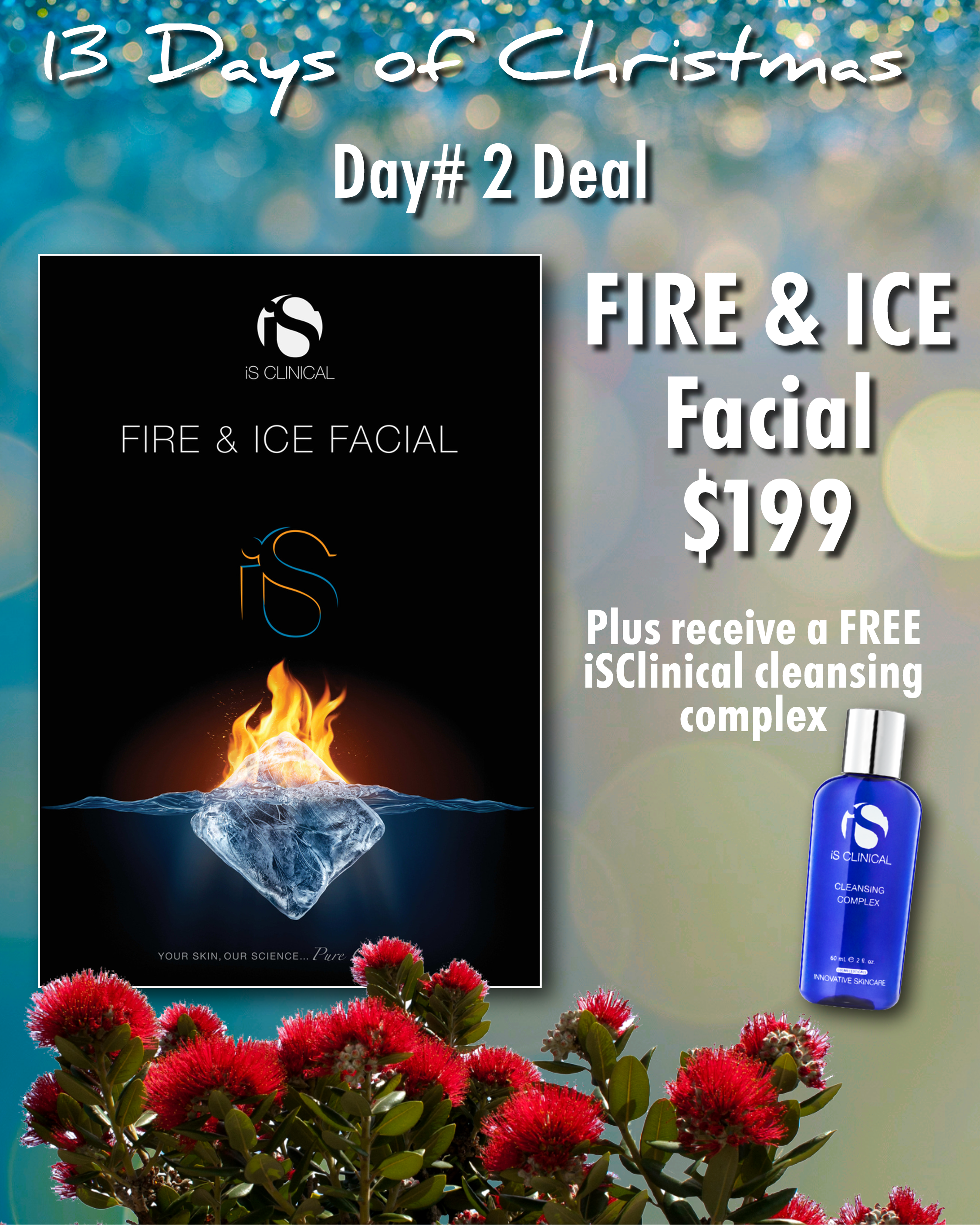 DAY #2 - FIRE & ICE FACIAL + GIFT