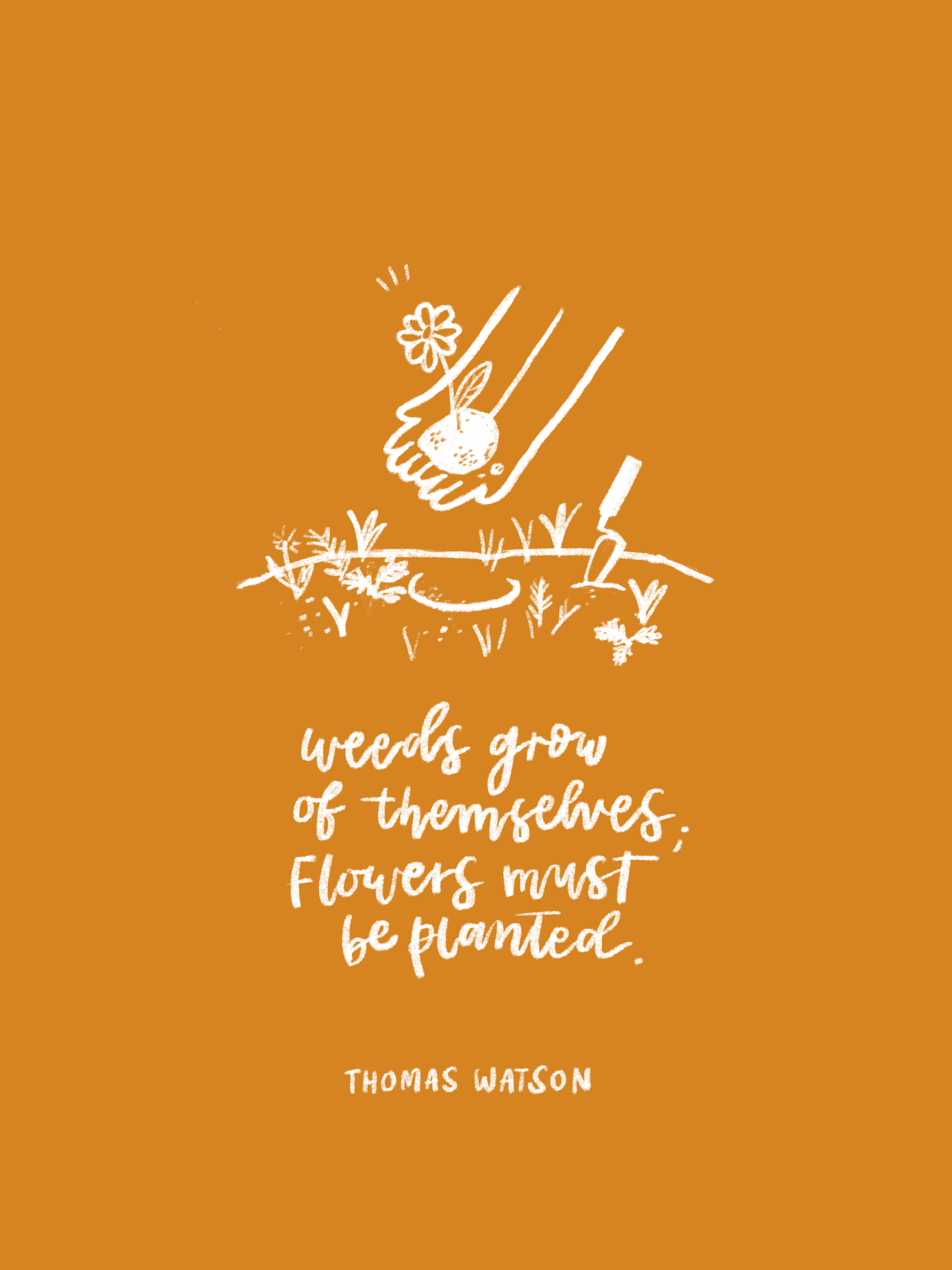 Untitled_Artwork 13.png