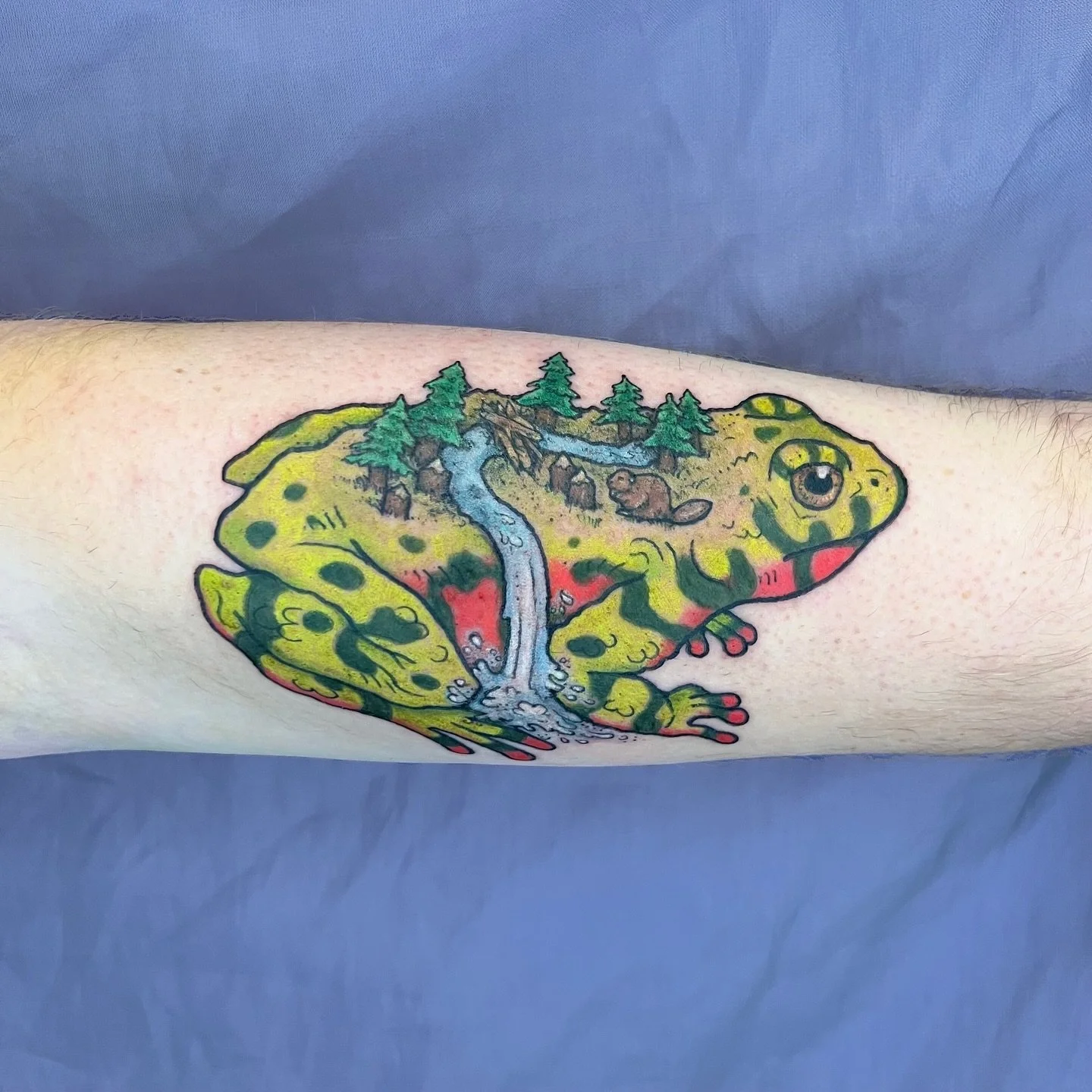 🐸Toad World🐸
Fire bellied toad holding a little forest on his back🌲
Thanks for coming up with such a great idea Matt, it was great meeting you! 
Books are open
.
.
.
.
.
.
.
.
.
.
.
.
.
.
.
.
.
.
.
.
.
.
.
.
.
.
.
.
.
.
.
.
.
.
.
.
.
.
.
.
.
#frog