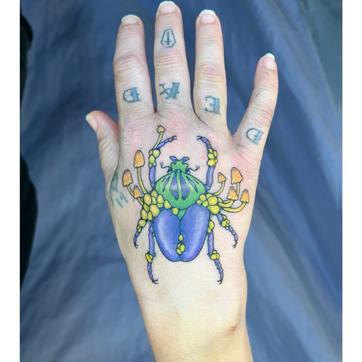 🪲Decaying Beetle🪲
Thanks for trusting me with this spot Bex! It was great meeting you 🍄
Books are open 
.
.
.
.
.
.
.
.
.
.
.
.
.
.
.
.
.
.
.
.
.
.
.
.
.
.
.
.
#handtattoo #handtattoos #beetletattoo #bugtattoo #insecttattoo #mushroomtattoo #spooky