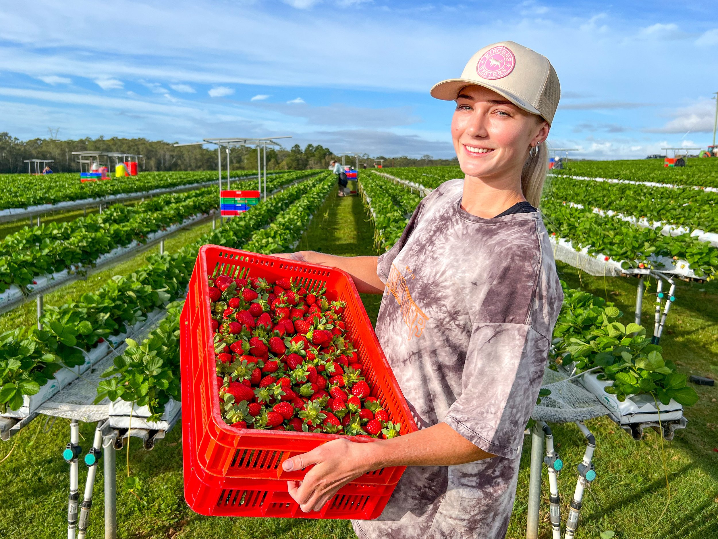 Tastensee strawberries-2.jpg