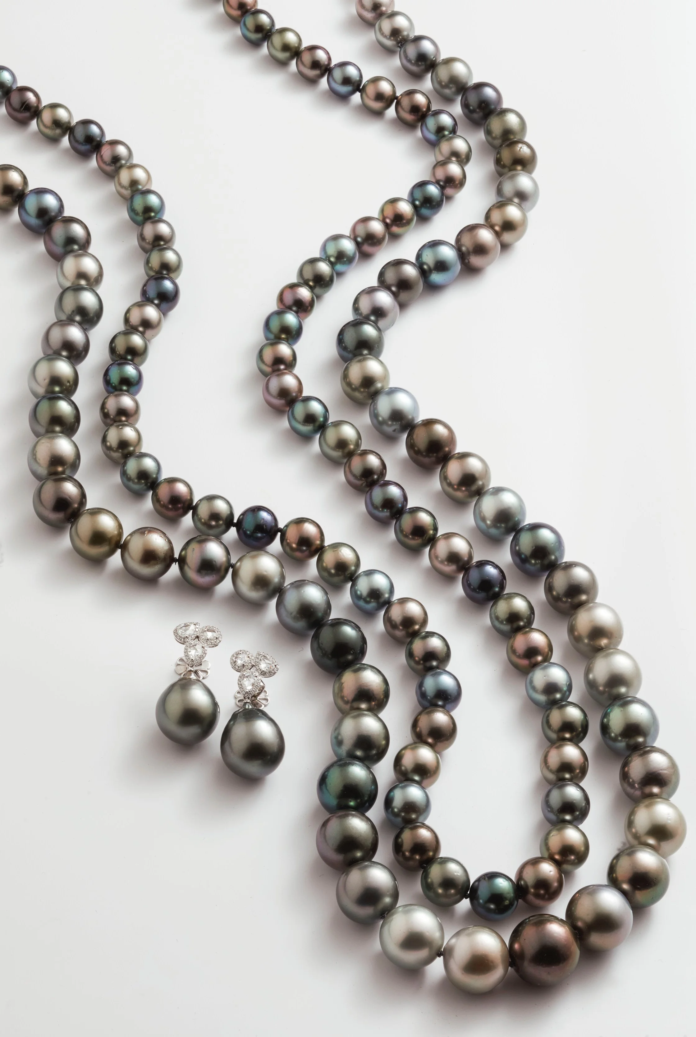 2023_04_02 golden bough bb2791.JPG