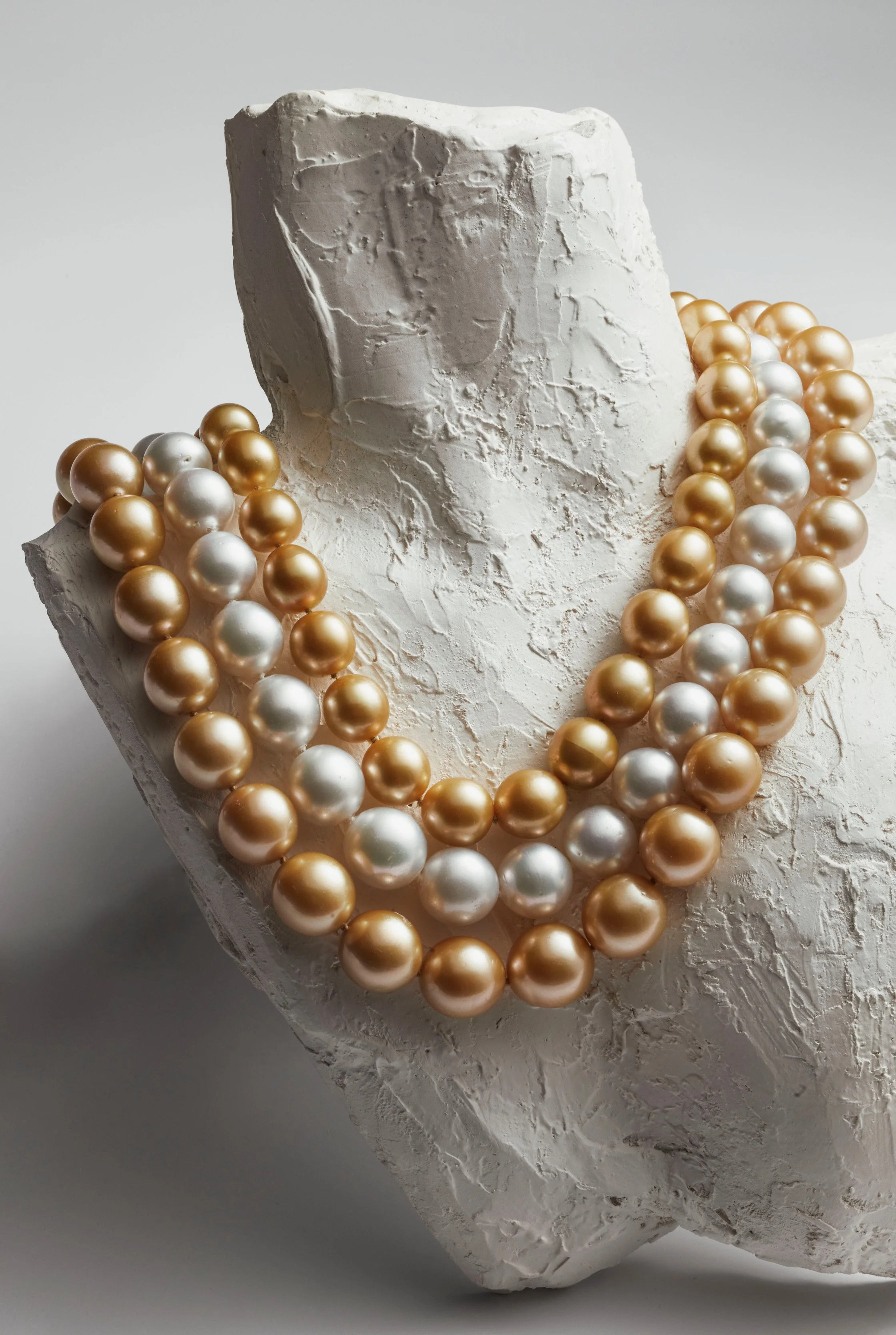 2023_04_02 golden bough bb2803.JPG