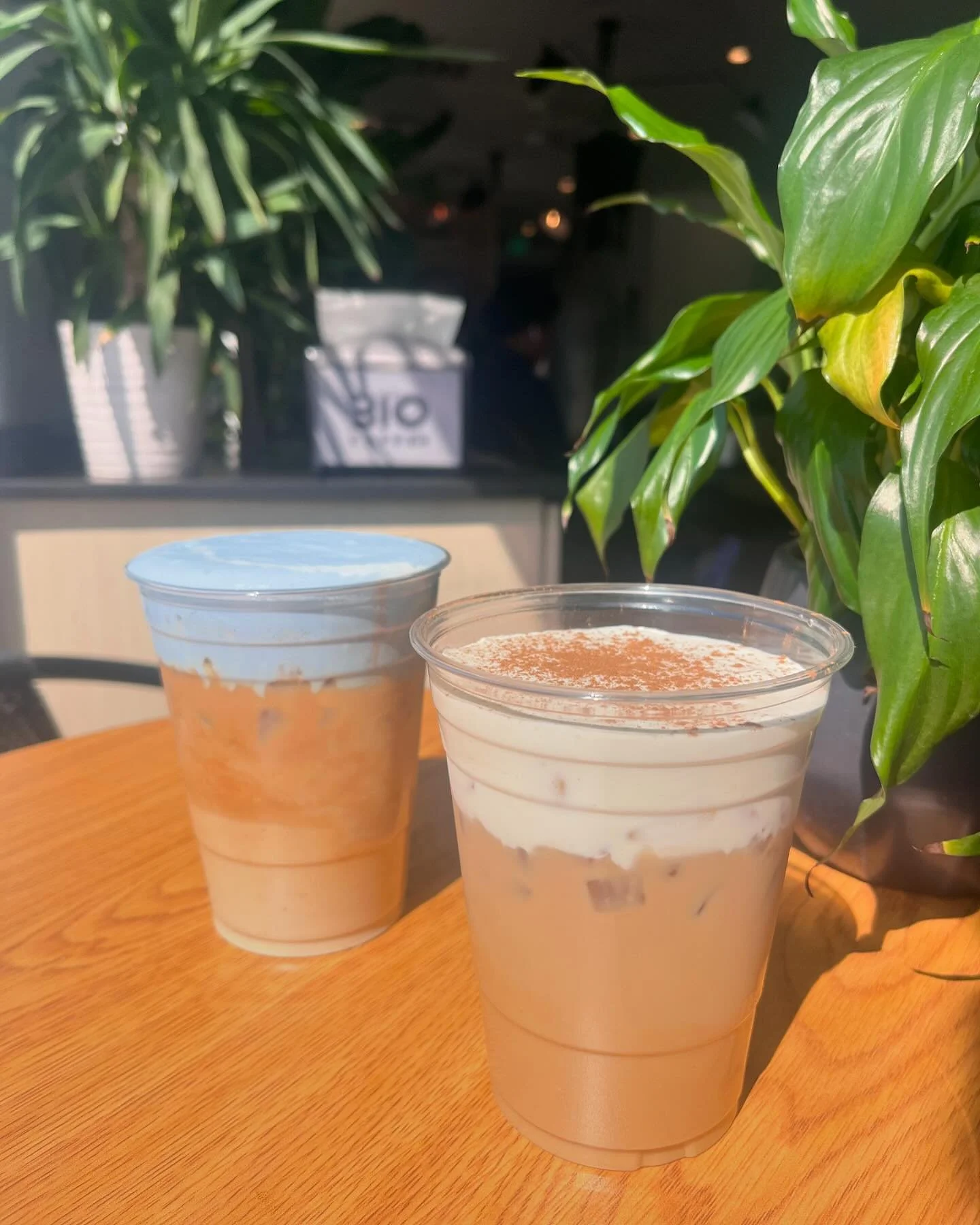 🍁Maple Latte with cold foam and cinnamon 
🪼Lavender Butterfly pea powder Iced latte
Who wants to try these fun lattes?!🌱☕️
#coffee #coffeetime #lattegram