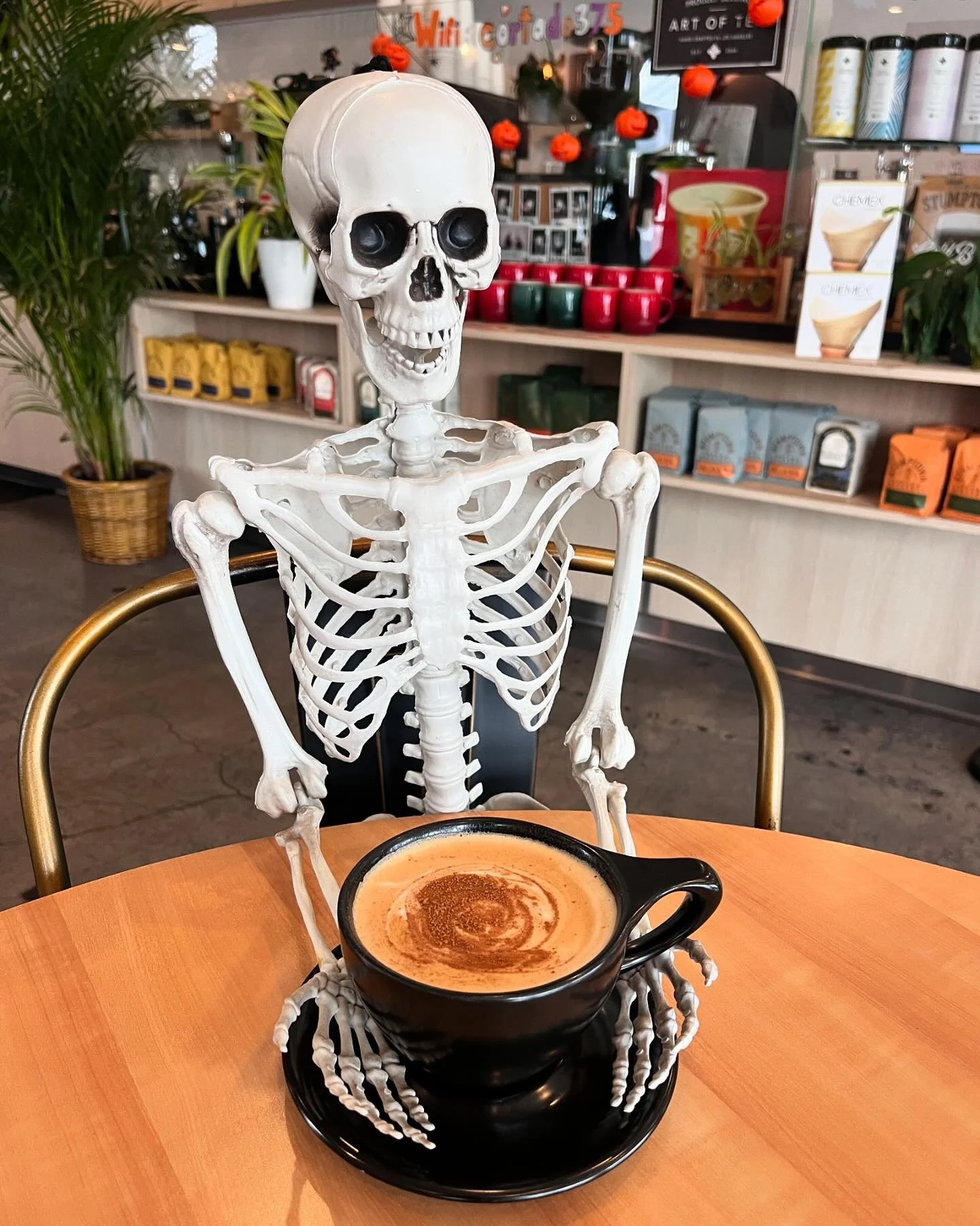 Who’s ready for the fall holidays!? 
Come in and enjoy a Maple cinnamon latte, good tunes, and fun Halloween decorations! 
🎃💀☕️🍂
#coffee #coffeelover #cafe