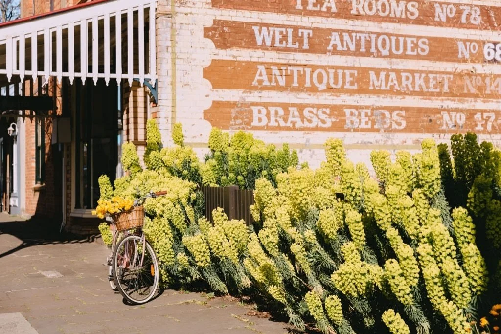 We need your help! 

TMR (Tourism Macedon Ranges) made a submission to Macedon Ranges Shire Council asking them for support funding for the Town Centre Action Plans for our 3 larger towns (Woodend, Kyneton, Gisborne). MRSC are now seeking individual 
