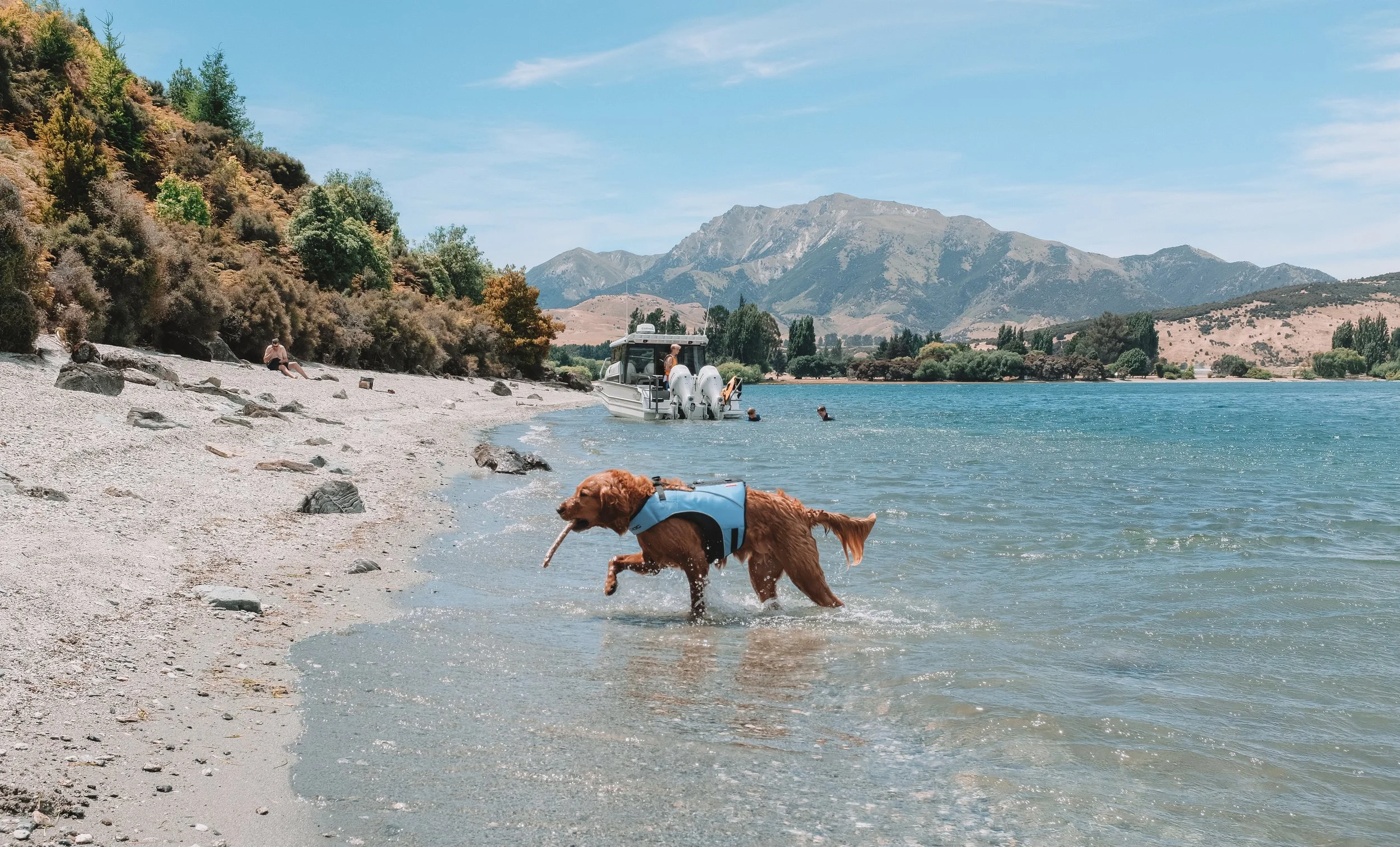 6NEW ZEALAND_MANDY&BASIL_.jpg