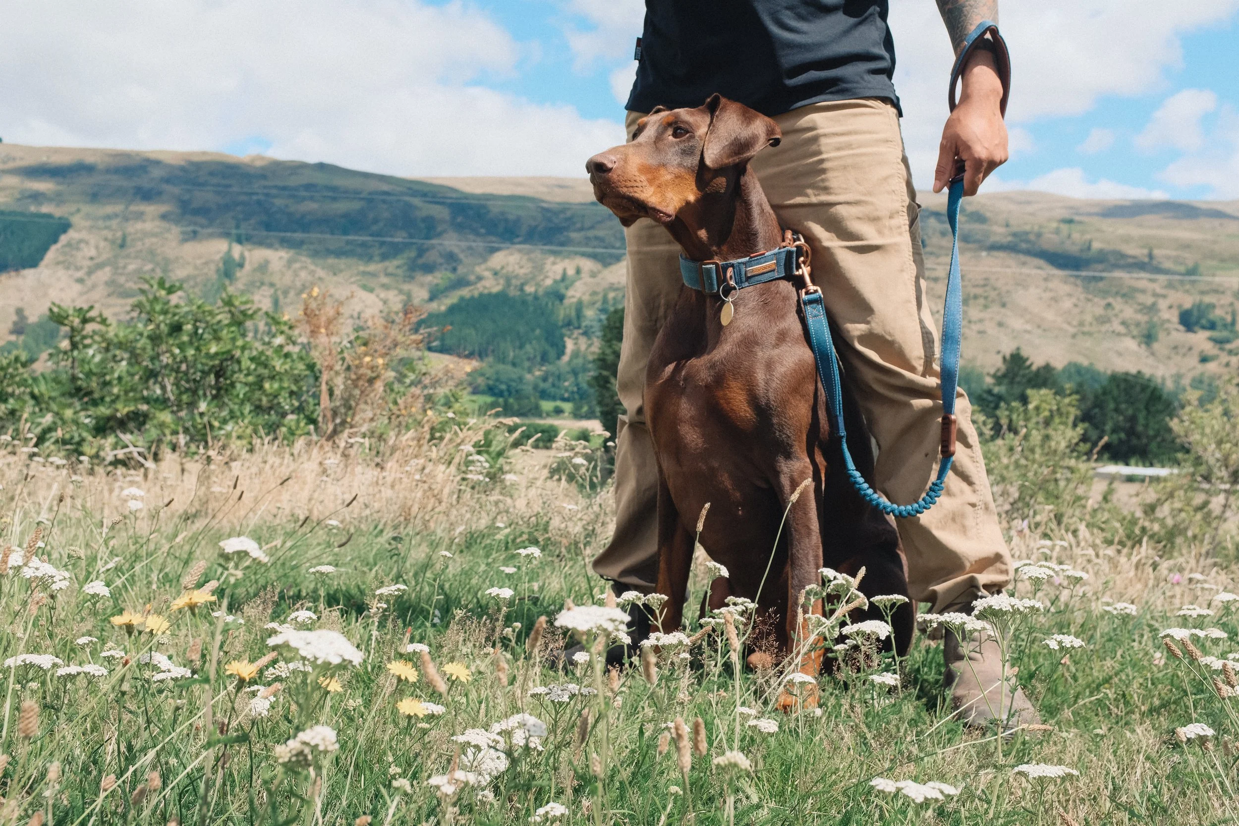 12NEW ZEALAND_MANDY&BASIL_.jpg