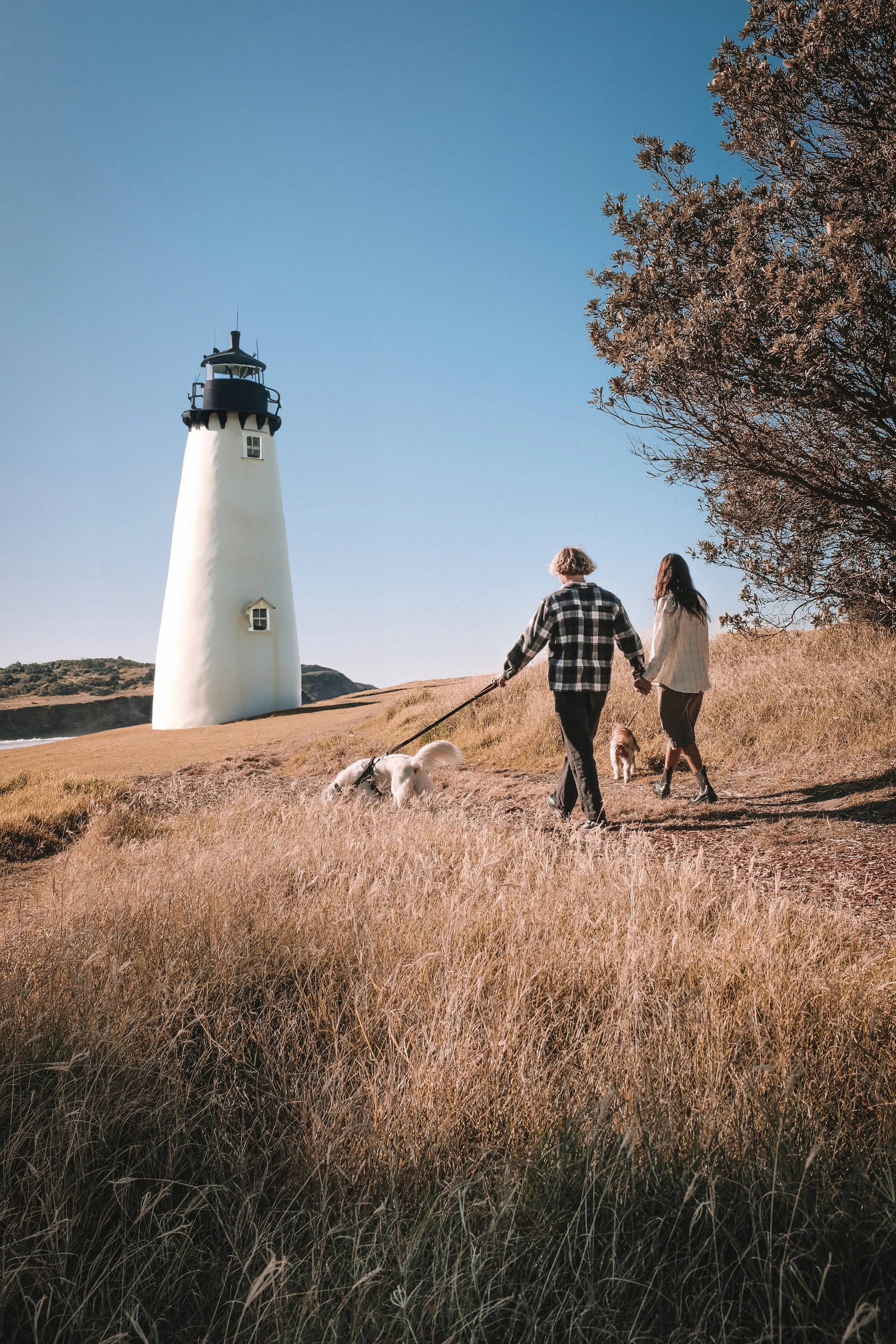 _DSF3874 light house.jpg