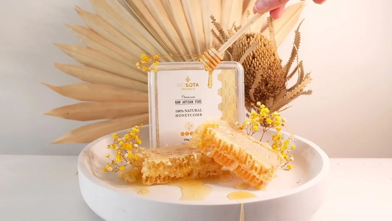 honeycomb0073.jpg