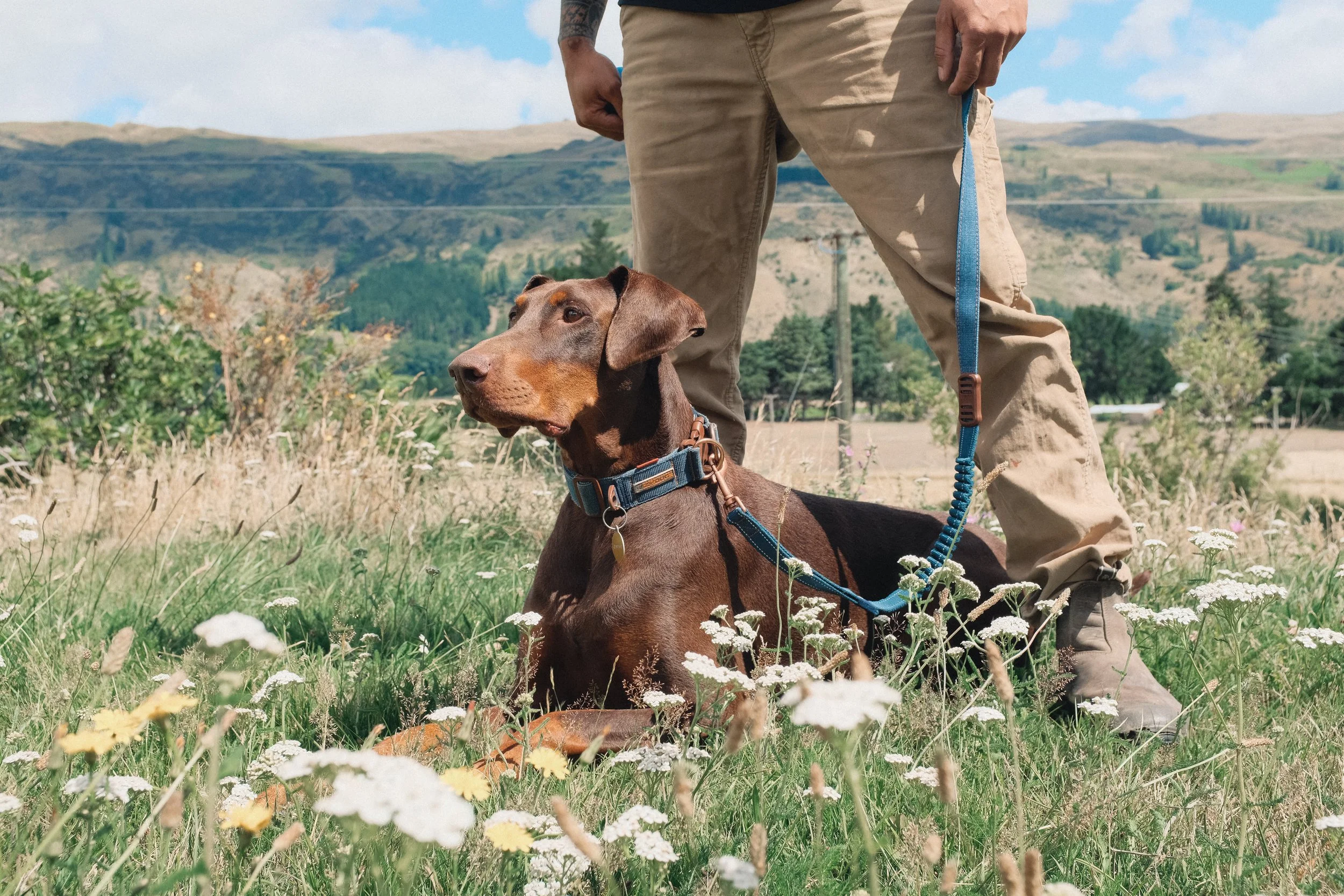 13NEW ZEALAND_MANDY&BASIL_.jpg