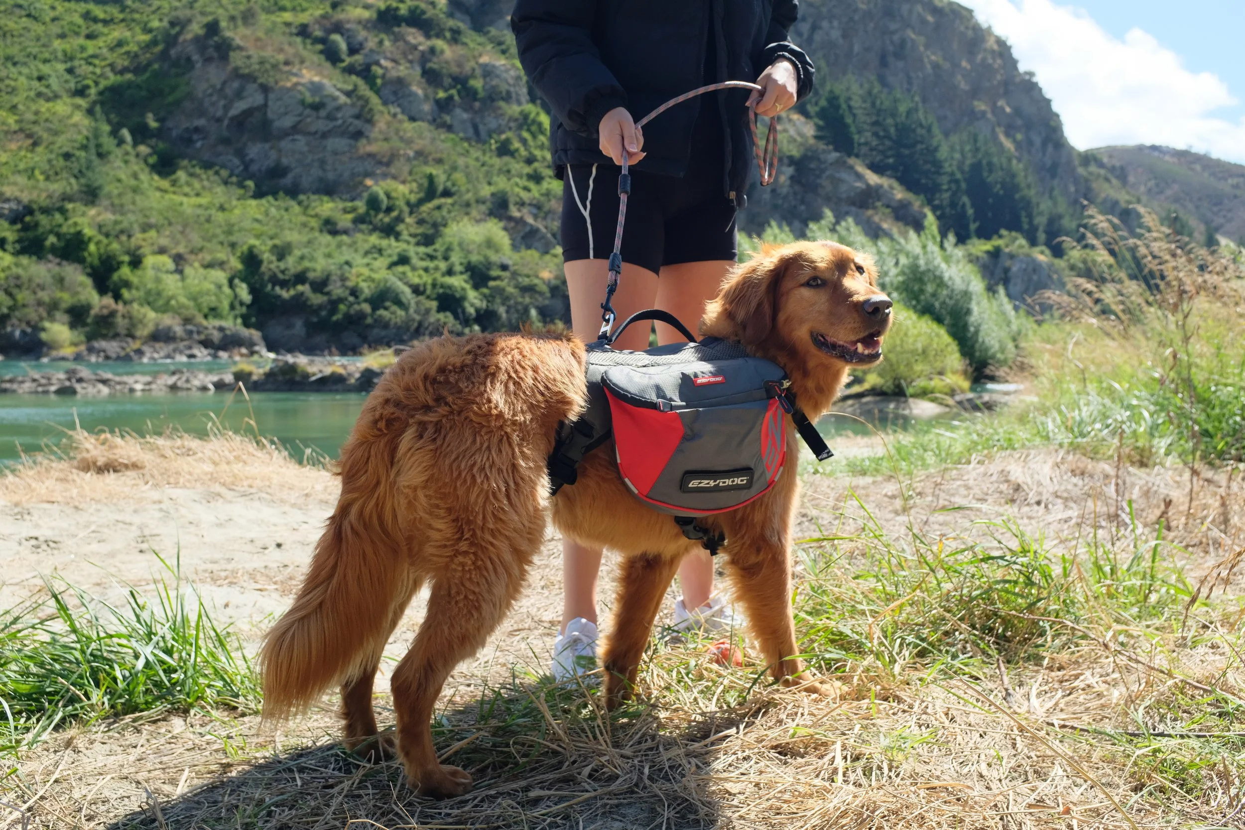 27NEW ZEALAND_MANDY&BASIL_.jpg