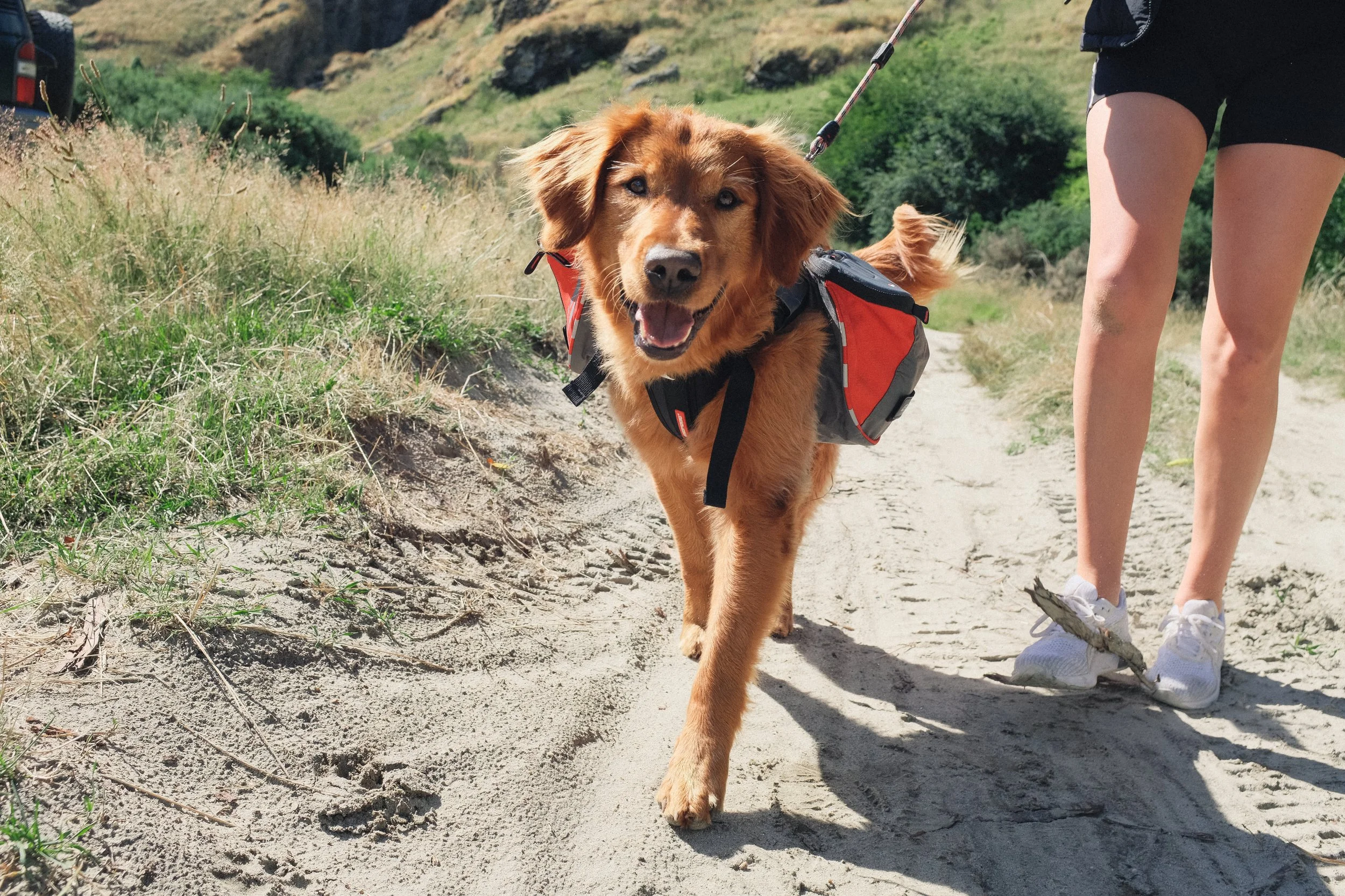 47NEW ZEALAND_MANDY&BASIL_.jpg