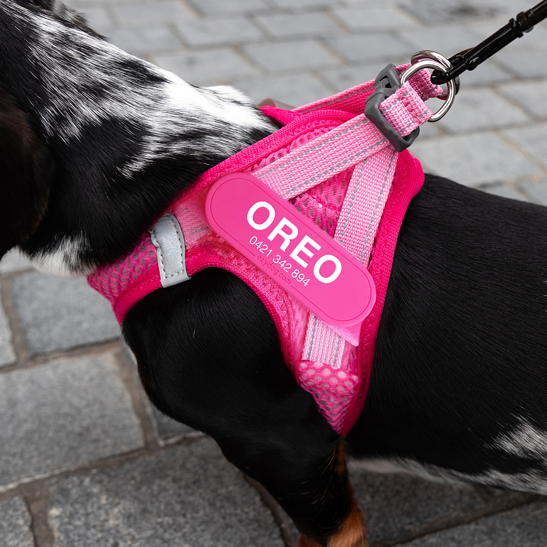 META-RT-B1-ST-01_label_on_harness_closeup_2026_04_17_1080x1080PX.png