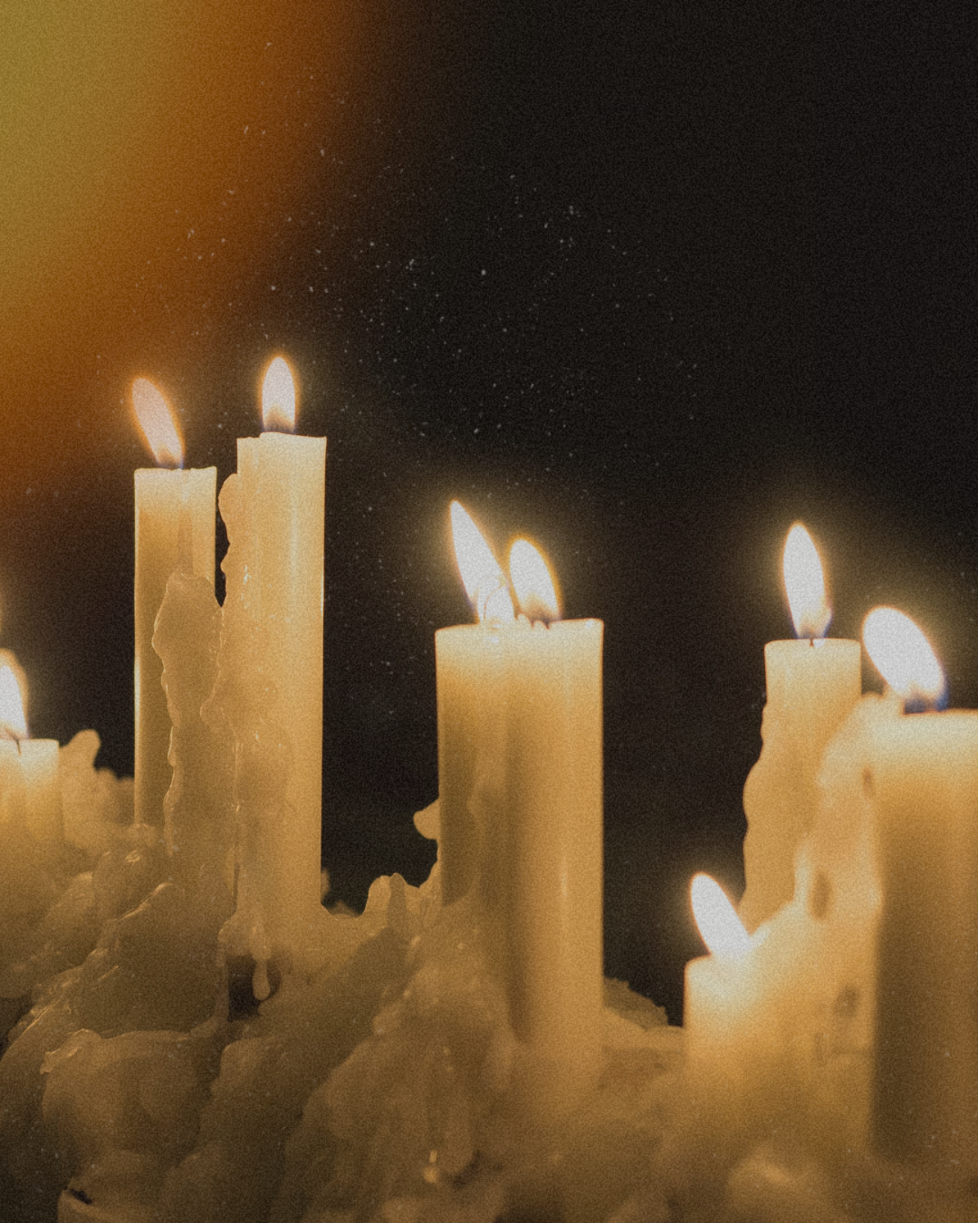 We Stand in Solidarity