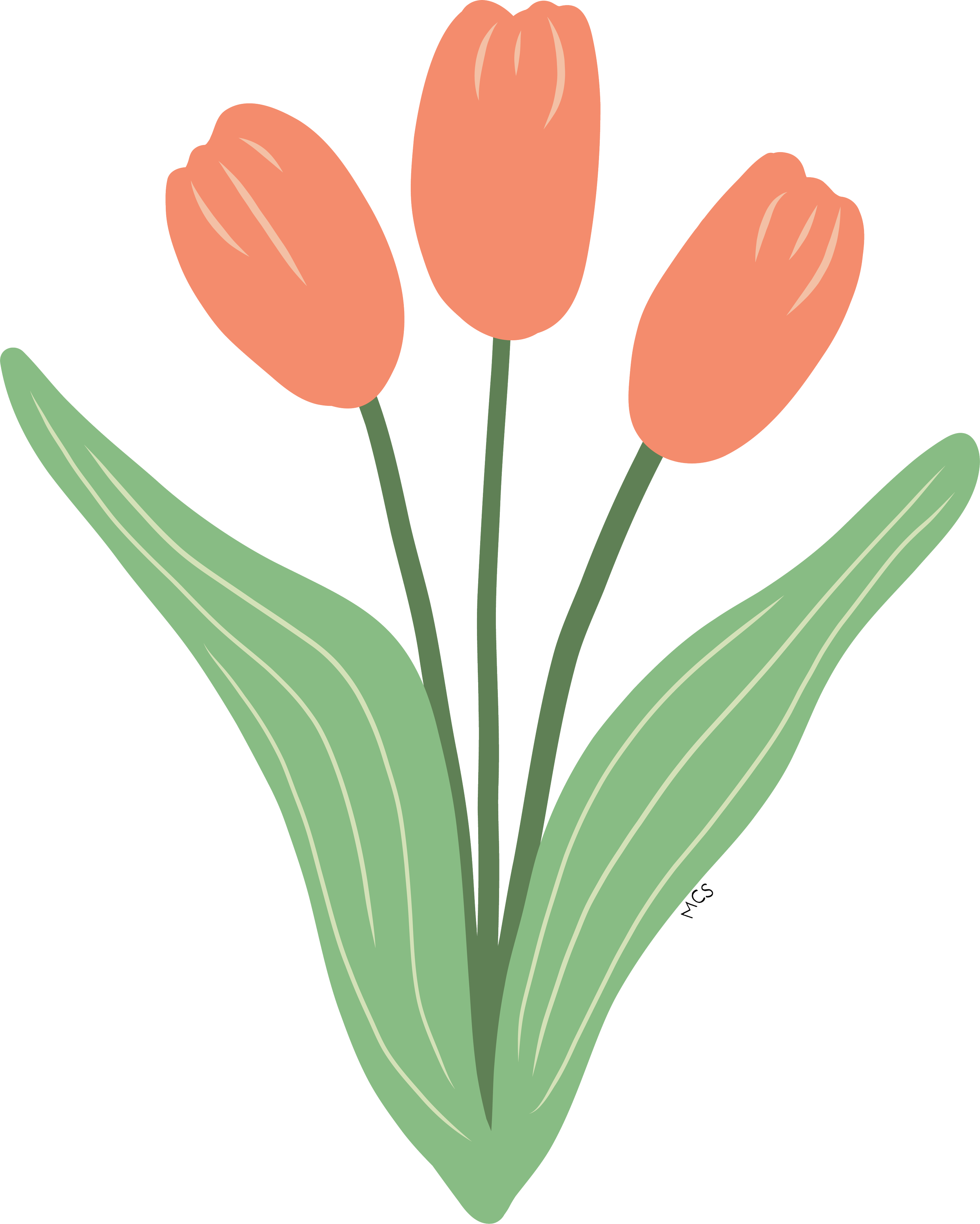 Dark Pink Tulips.png