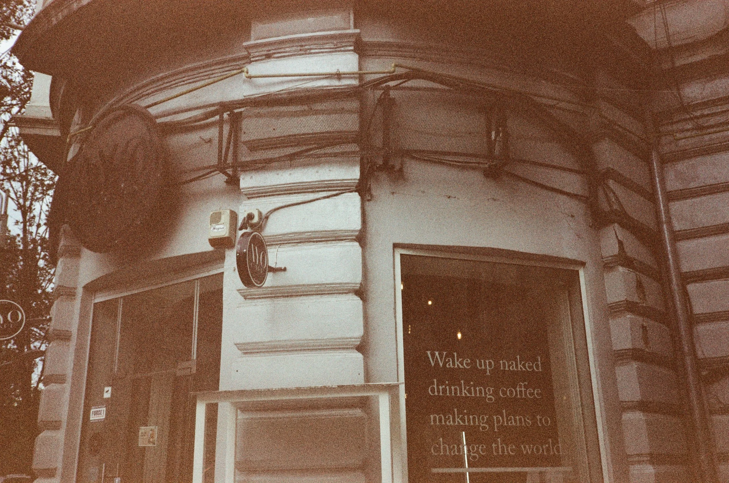 MagnoliaFilmLab254158.jpg
