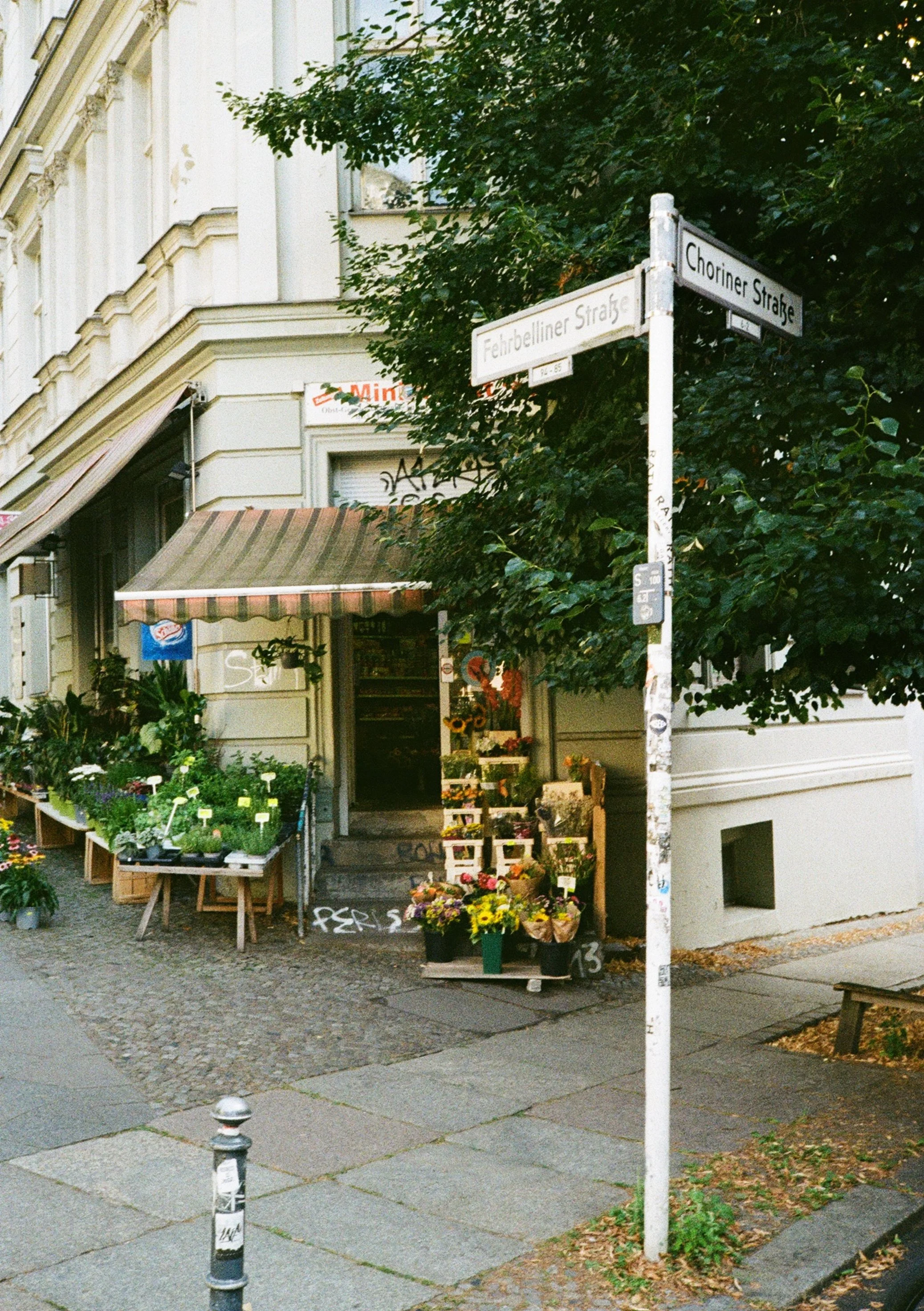 000020050078 (1).jpg