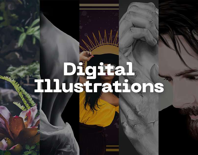 Digital Illustration