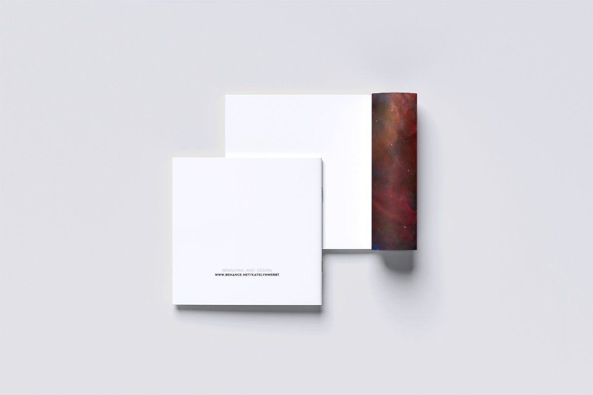Back cover.jpg