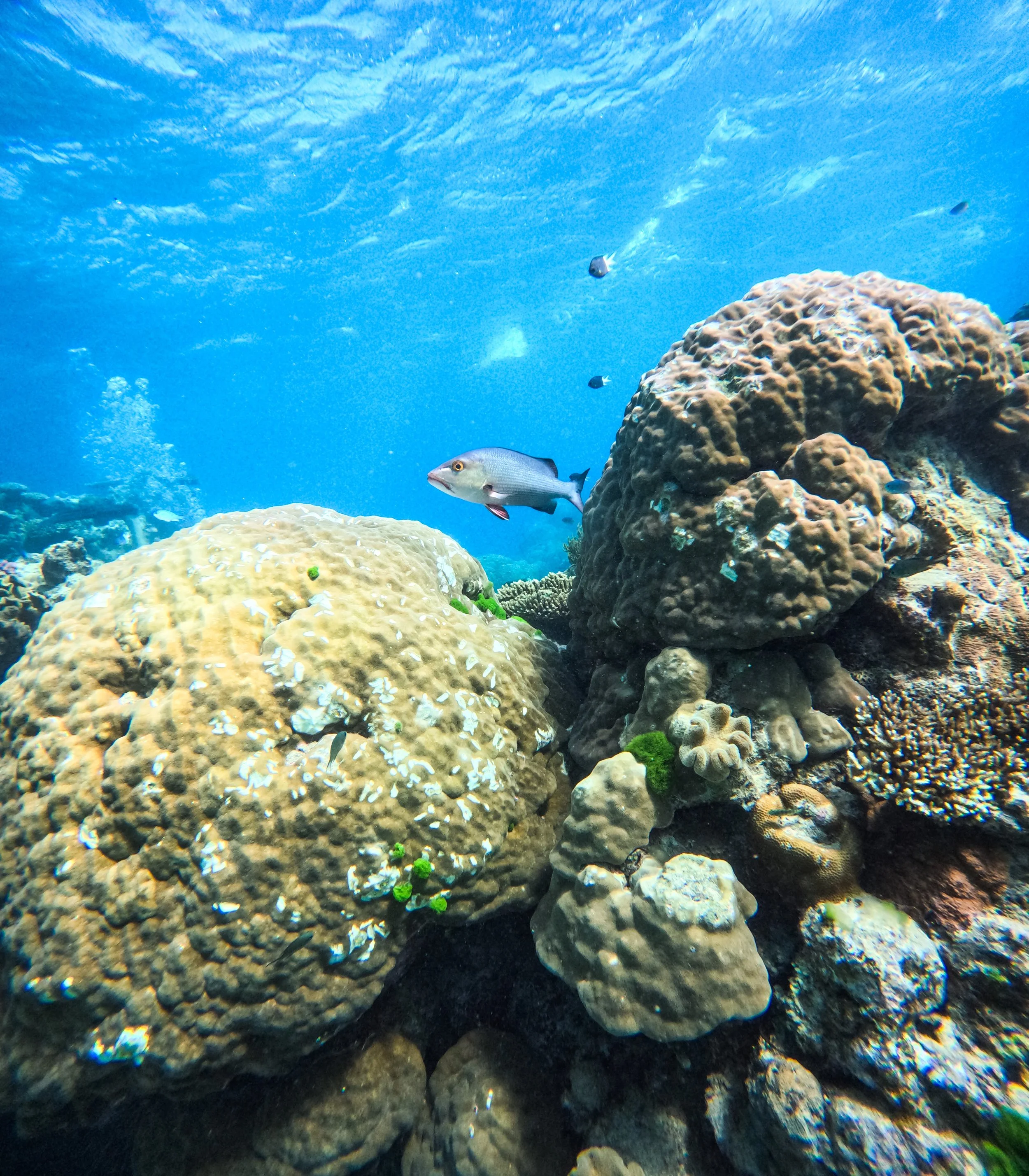 GPTempDownload 4.JPG