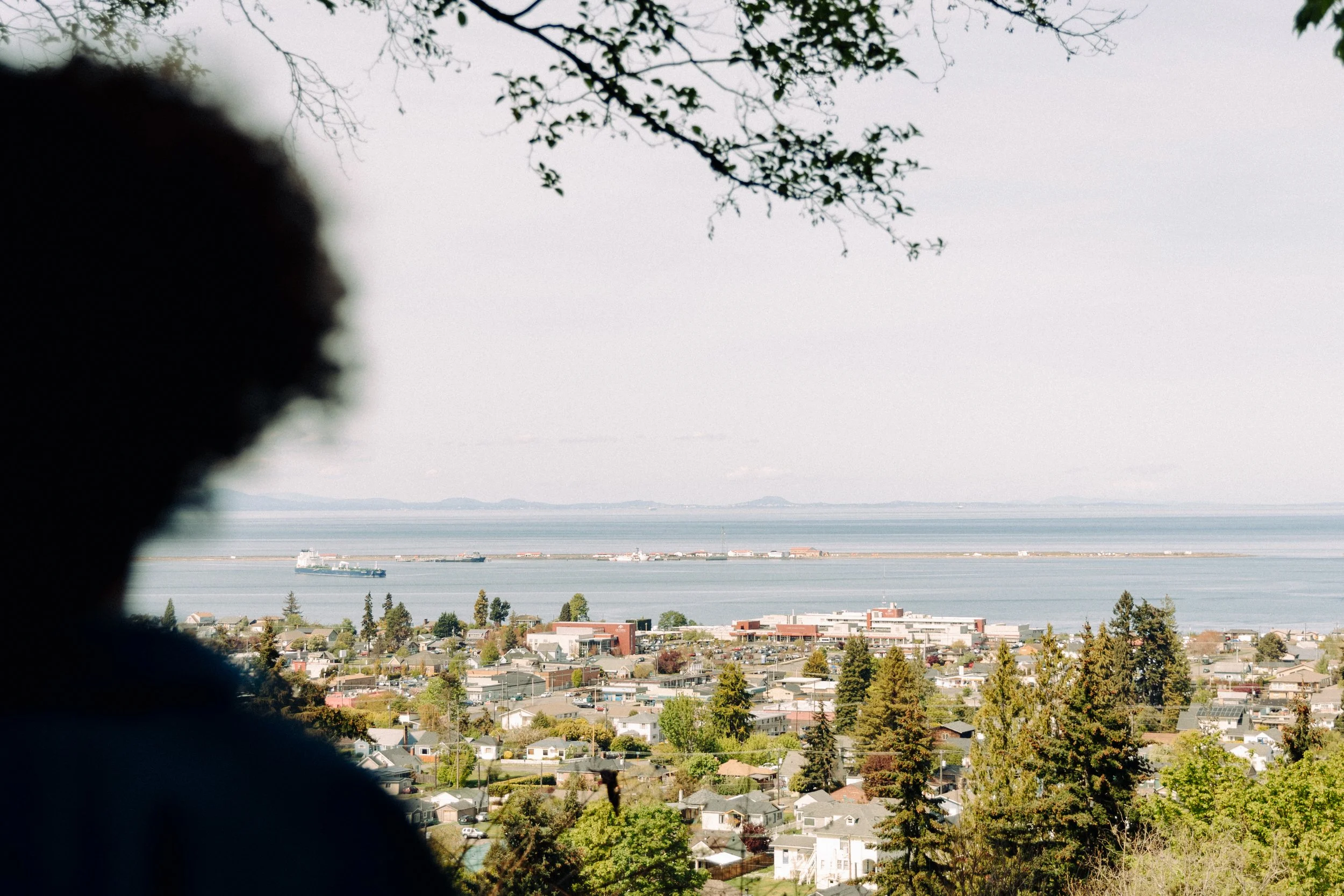 A person with short curly hair standing in front of a scenic view overlooking a coastal town with houses, trees, and a body of water with ships and distant land.