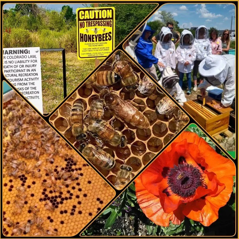 https://www.jeffcobeekeepers.org/