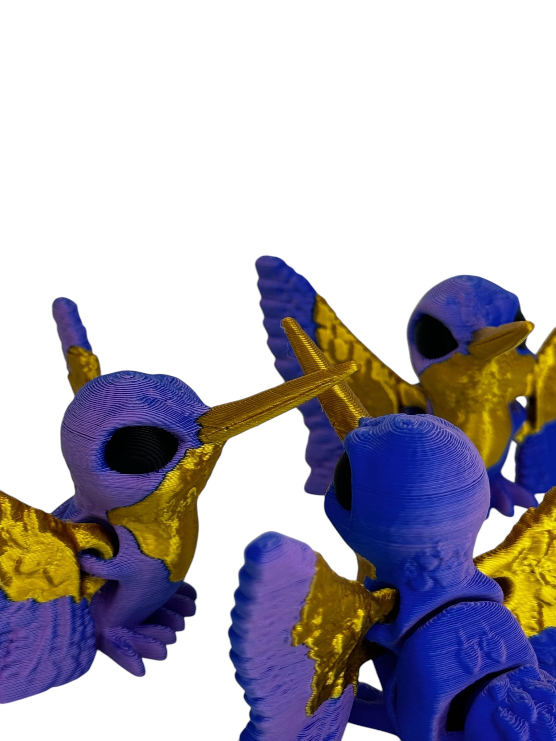 Photoroom_20250224_154149.jpeg