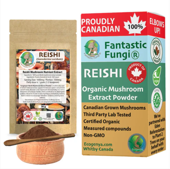 Poudre d’extrait de Reishi biologique