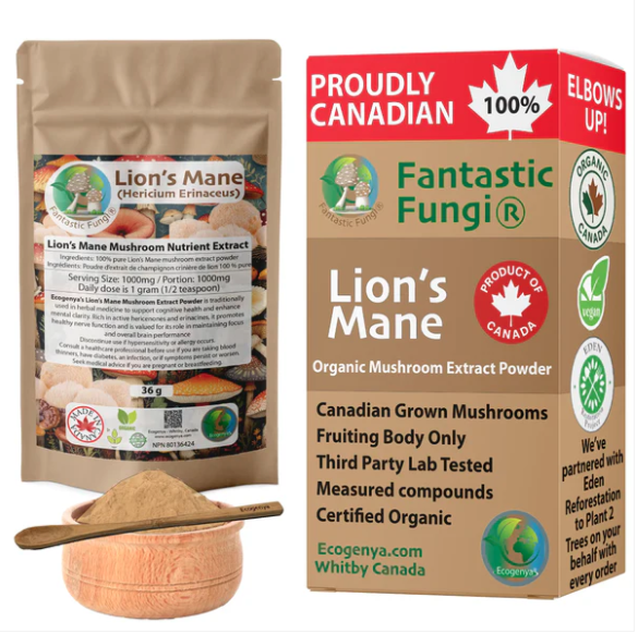 Poudre d’extrait de crinière de lion biologique