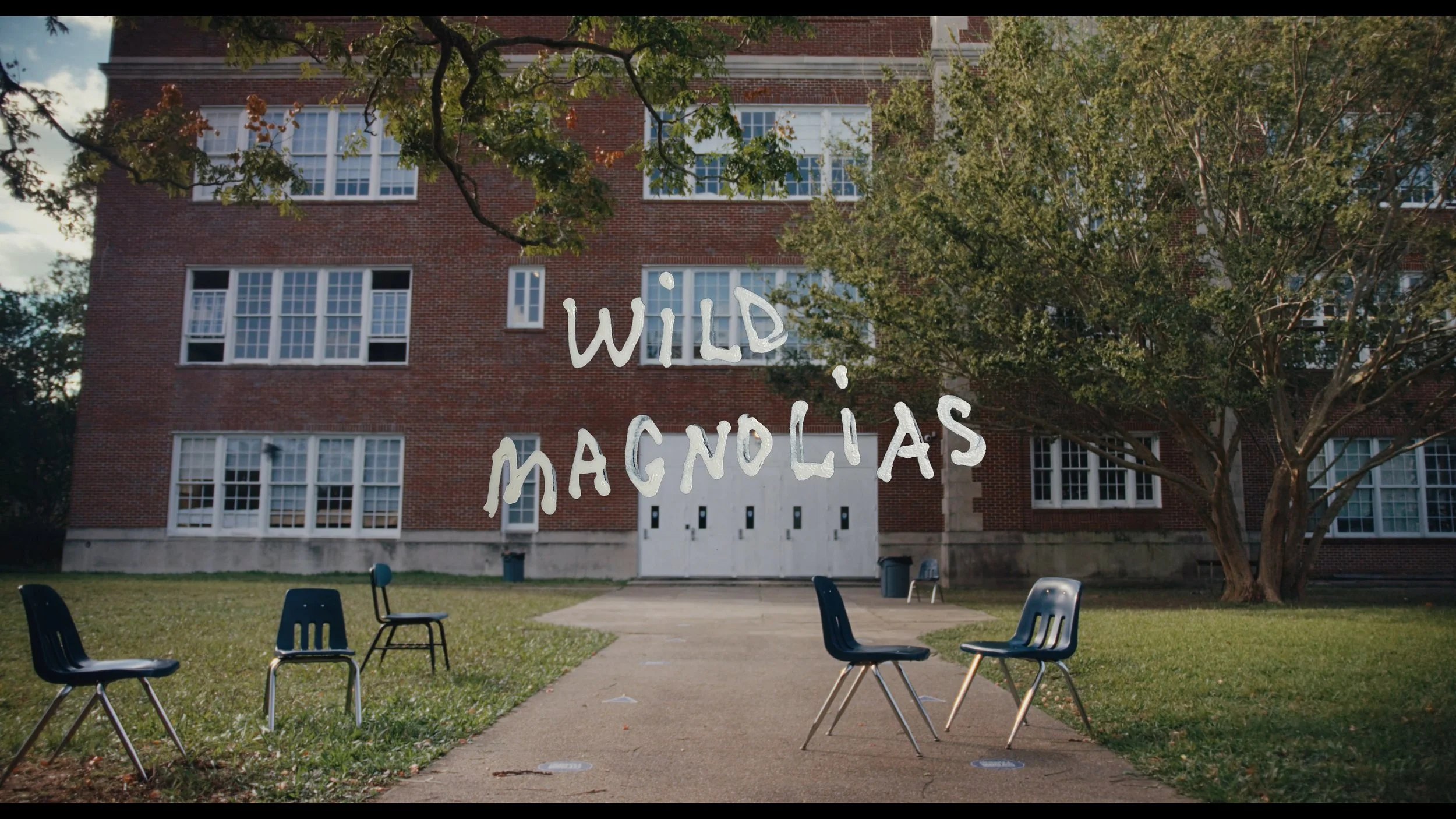 Wild Magnolias_00_00_58_12.jpg