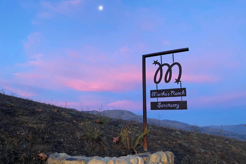 🐑 Speaker Series: Martha’s Farm Sanctuary — Land, Legacy &amp; Compassion Featuring: John Patterson &amp; Nikki Valko Patterson 