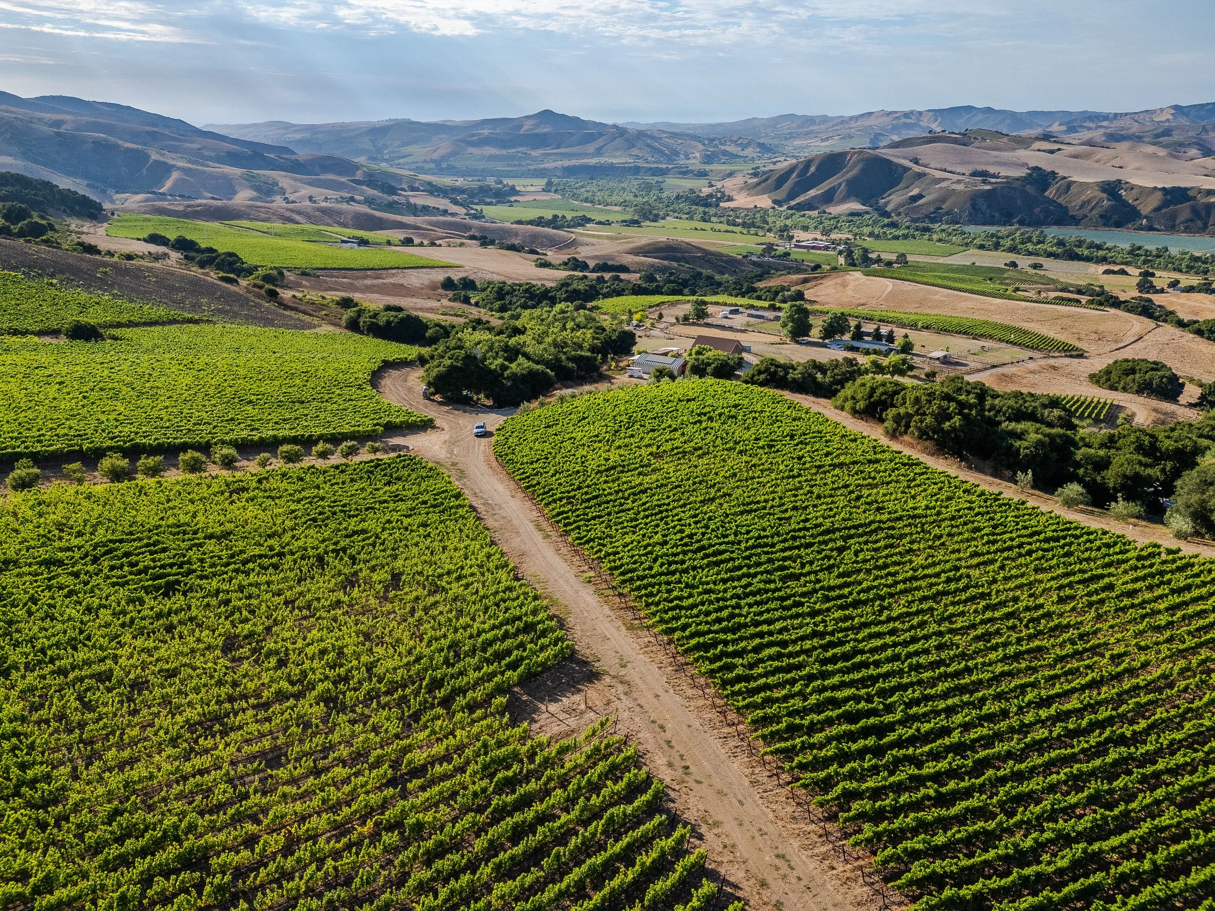 🍇🚜 Taste the Landscape: Vineyard Immersion with Sonja Magdevski